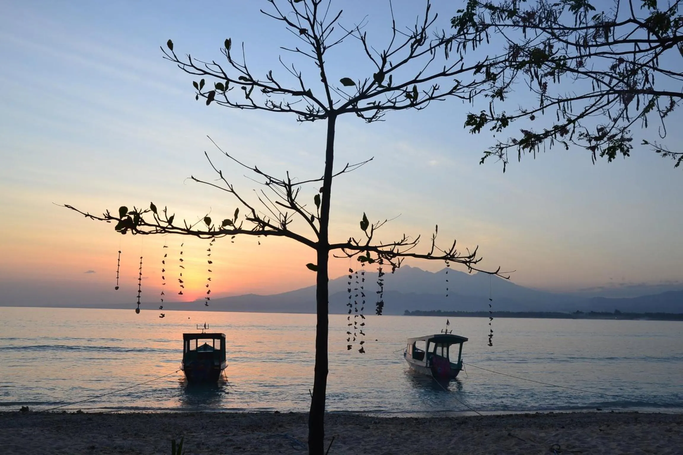 Beach in The Rabbit Tree Hostel