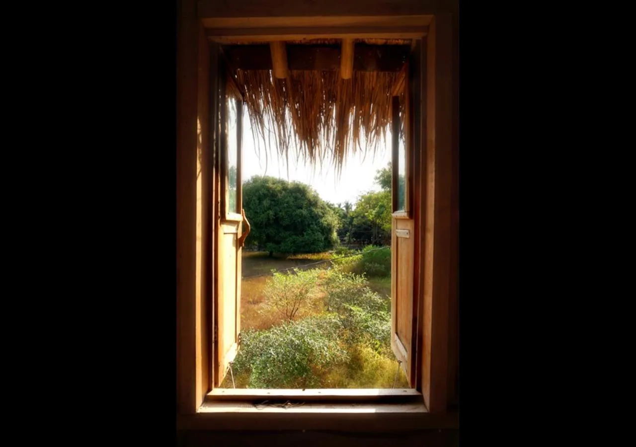 Garden view in The Rabbit Tree Hostel