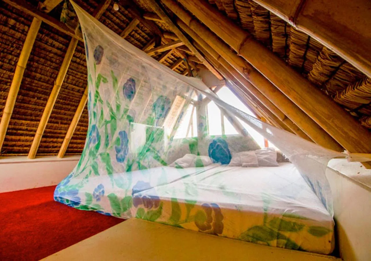 Photo of the whole room, Bed in The Rabbit Tree Hostel