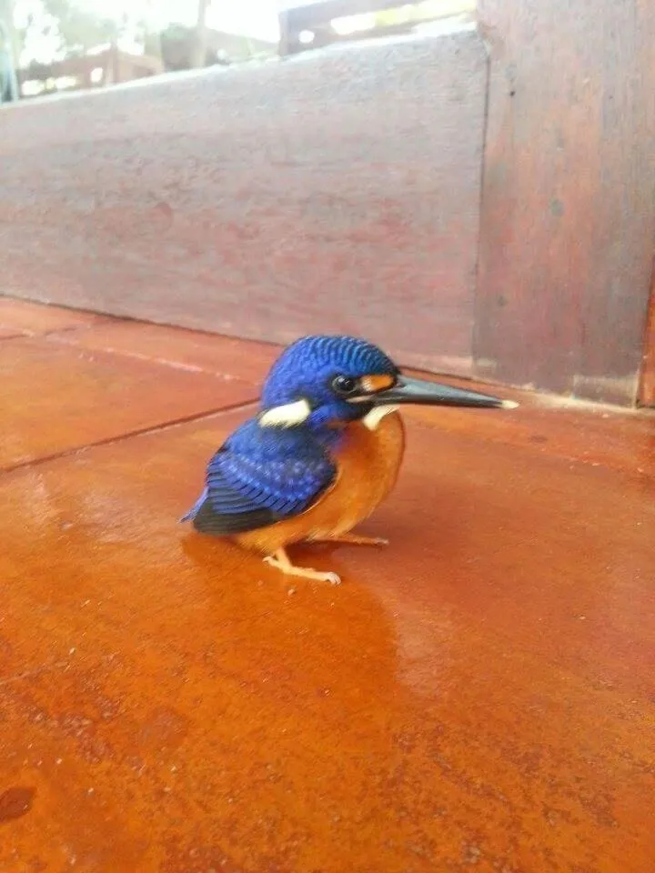 On site in Kebun Rohani Cottages