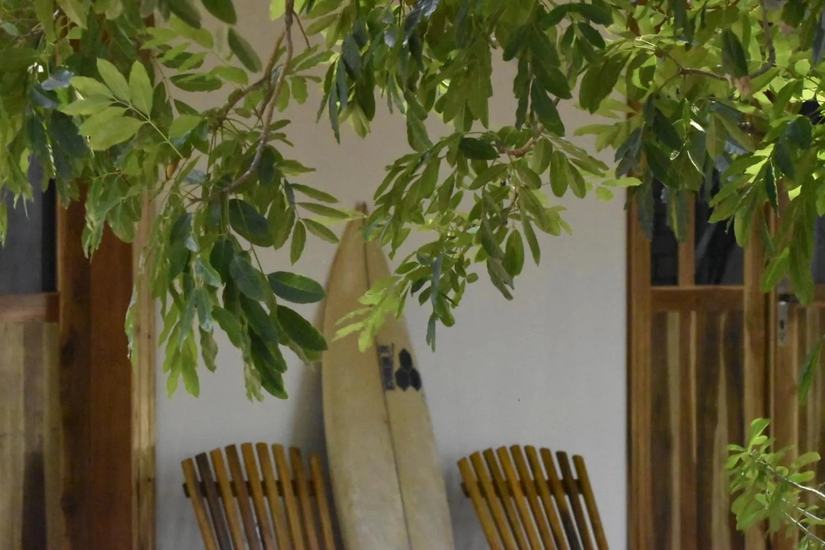 Garden view in Kadjan villa