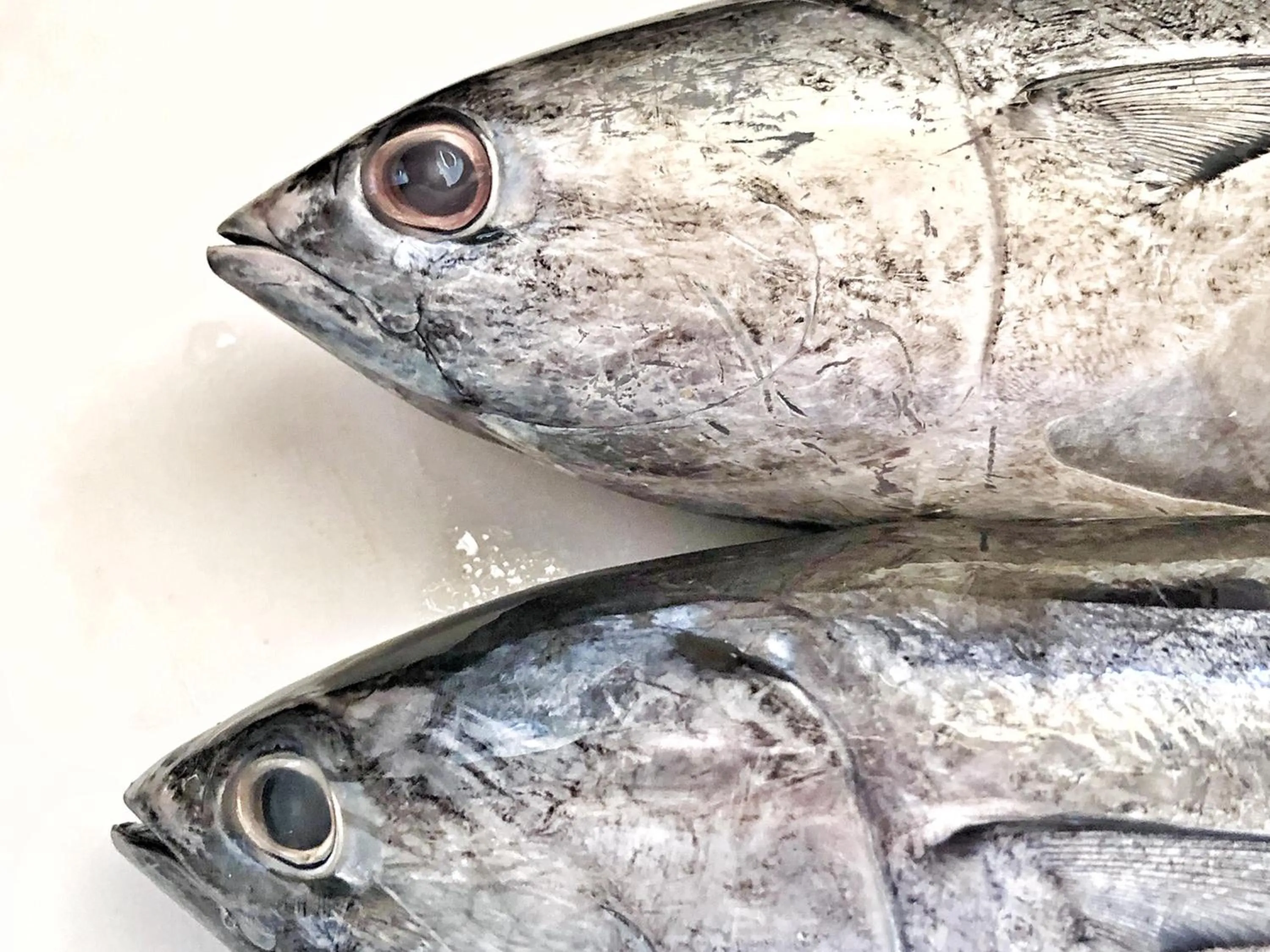 Food close-up in Kadjan villa