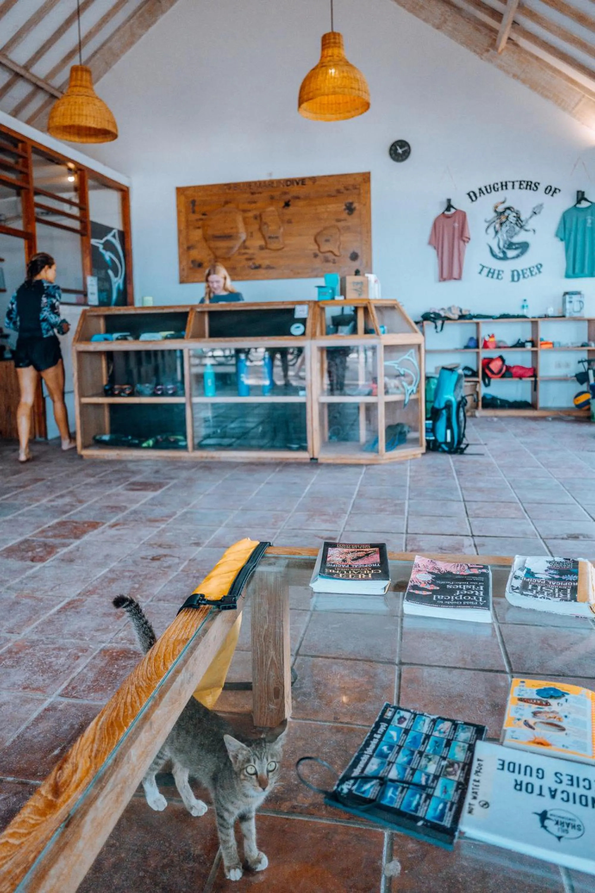 Lobby or reception in Blue Marlin Dive Gili Air