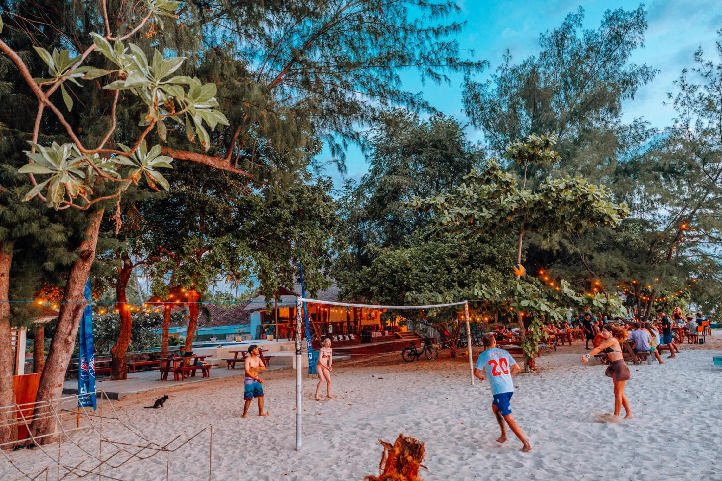 Activities in Blue Marlin Dive Gili Air