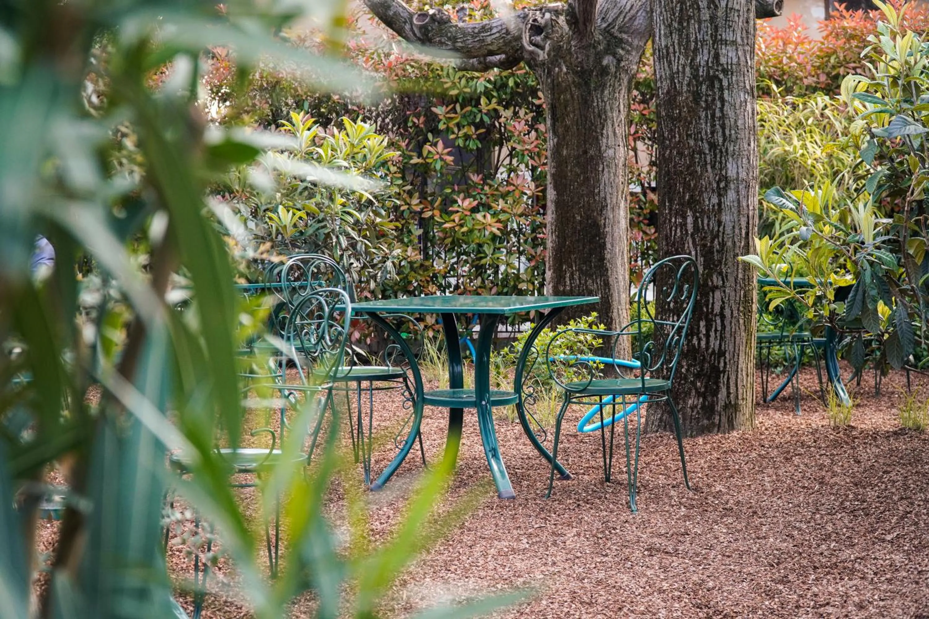 Garden view in Best Western Hotel Arya