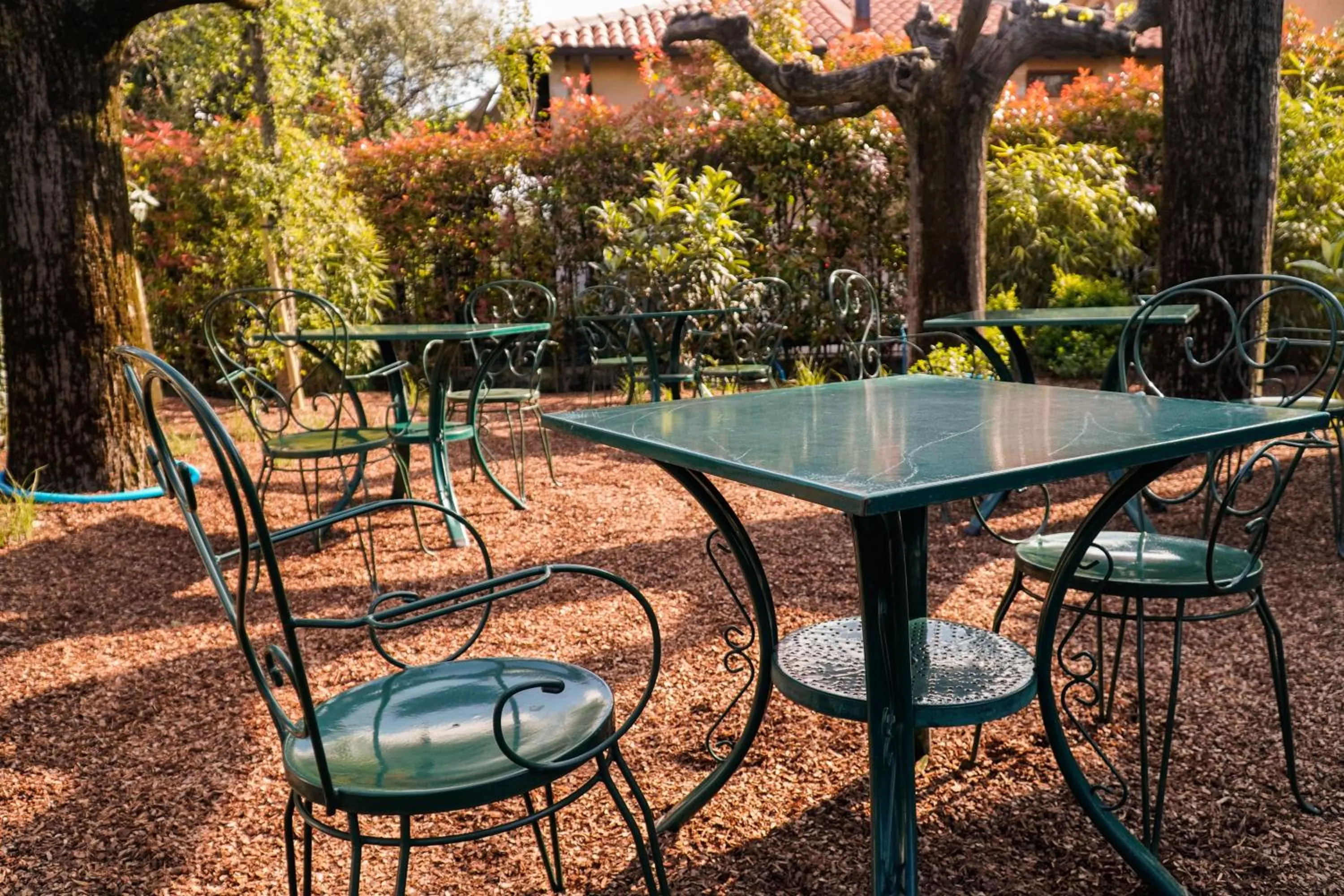 Garden view in Best Western Hotel Arya