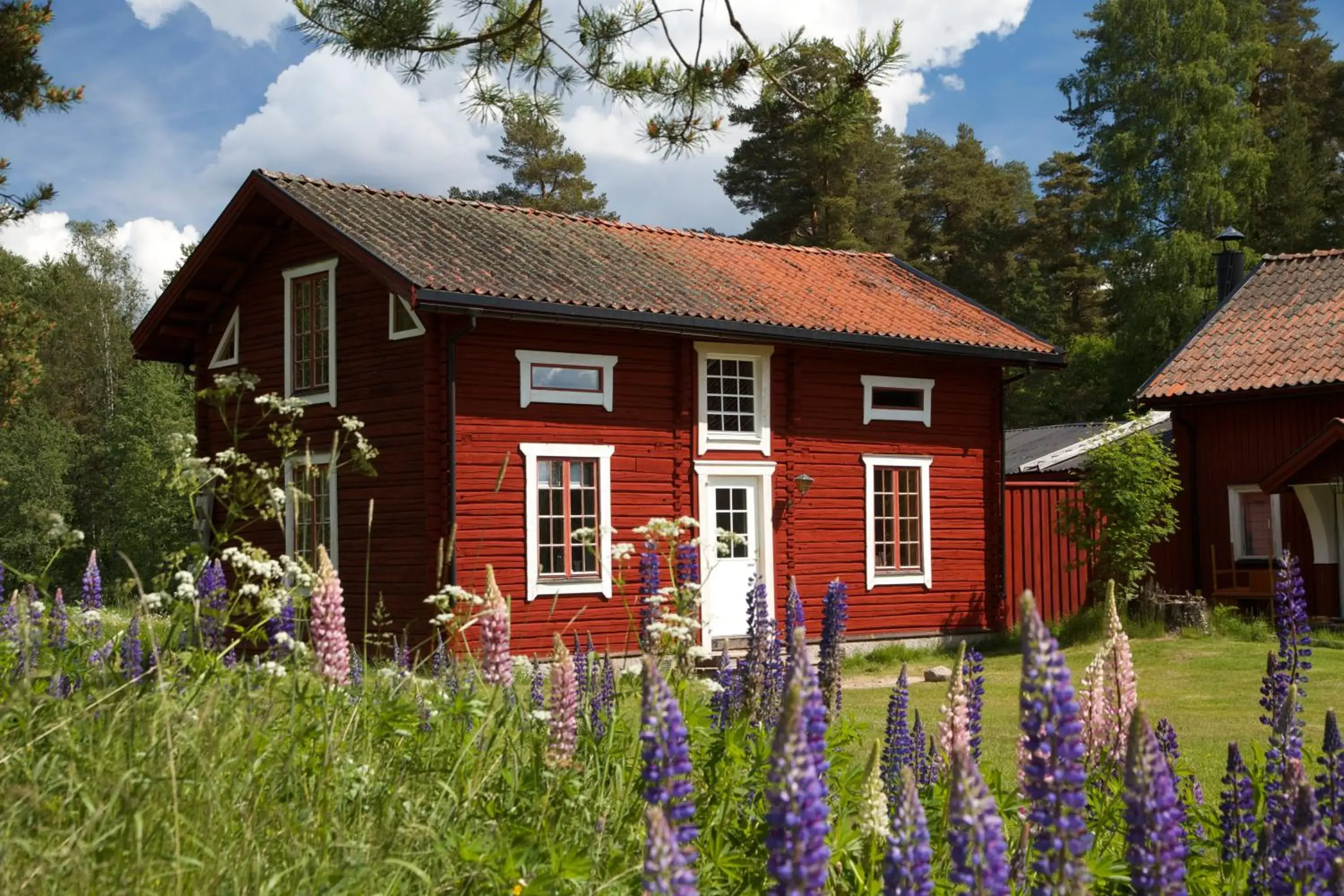 Deluxe Double Room - single occupancy in THE LODGE Torsby Deluxe Double Room - single occupancy in THE LODGE Torsby