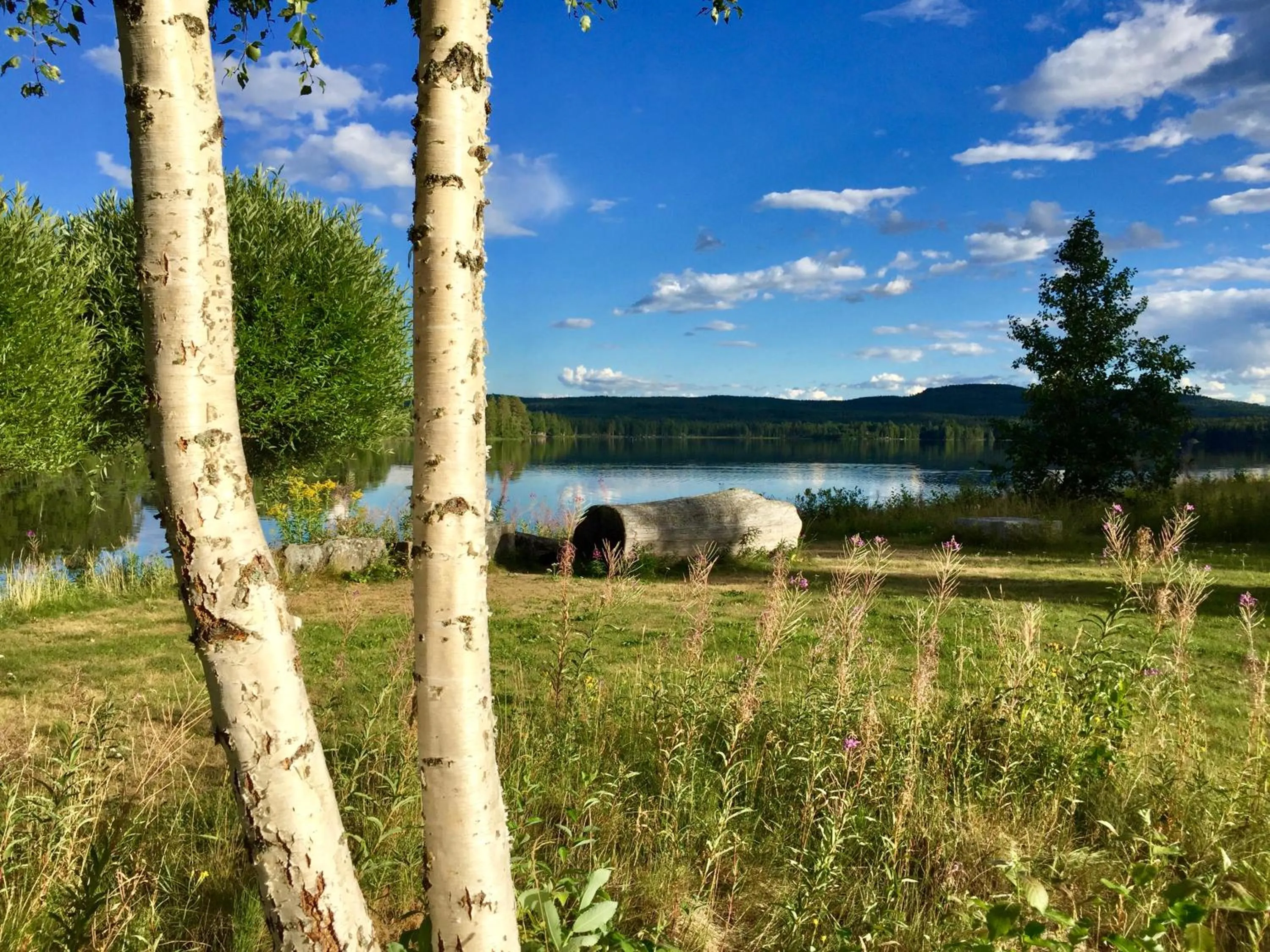 Area and facilities in THE LODGE Torsby