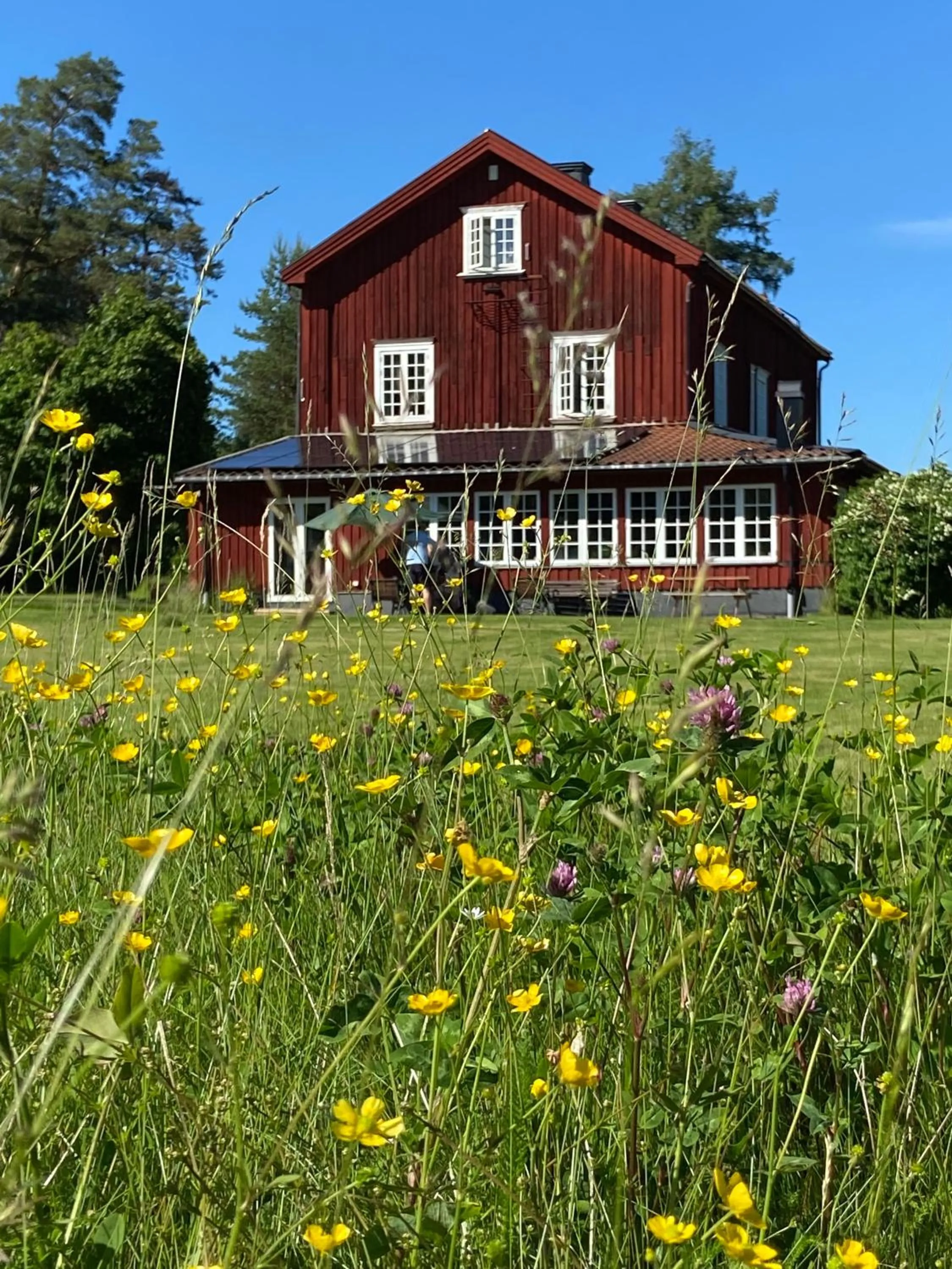 Garden in THE LODGE Torsby