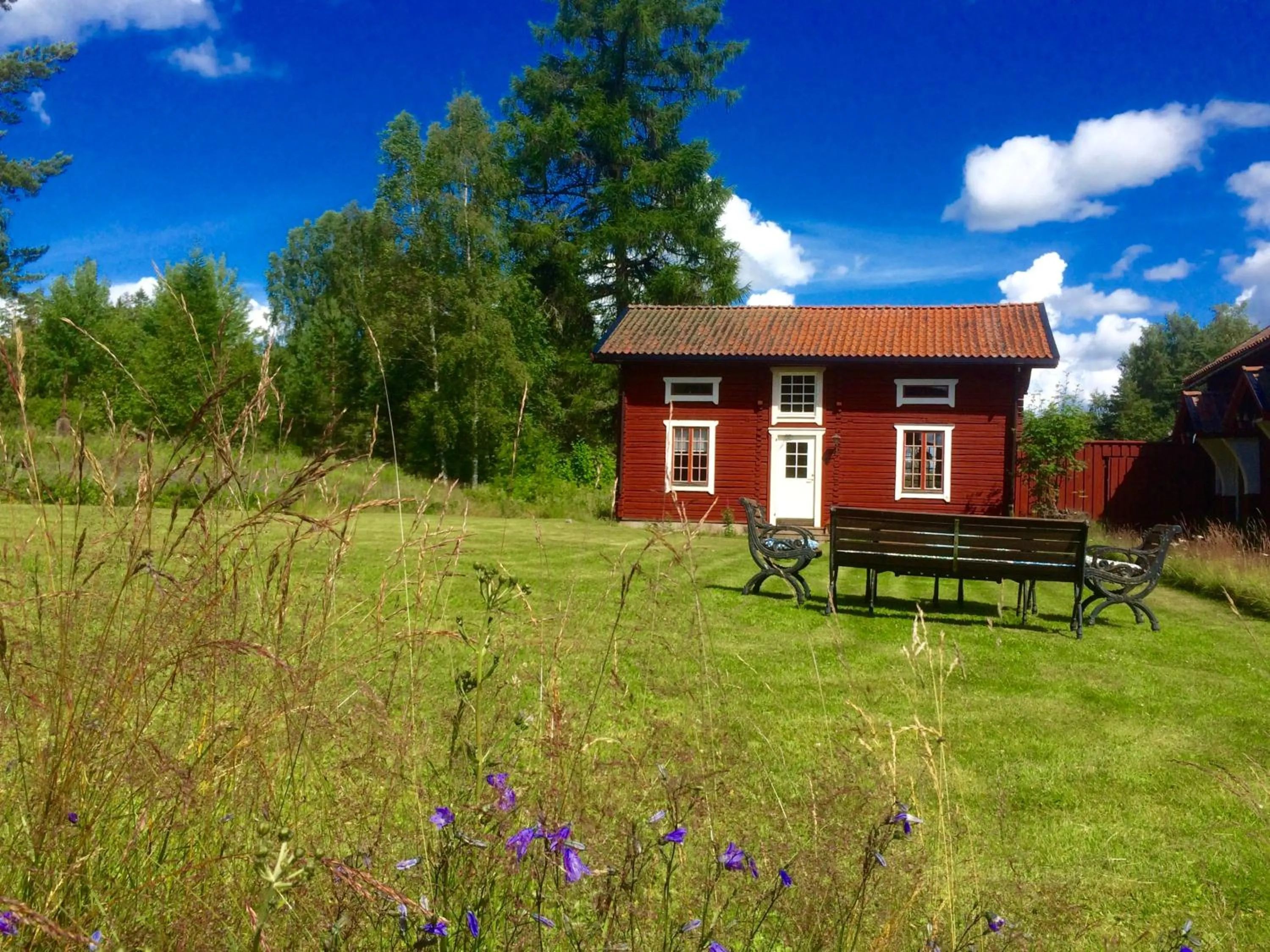Garden in THE LODGE Torsby