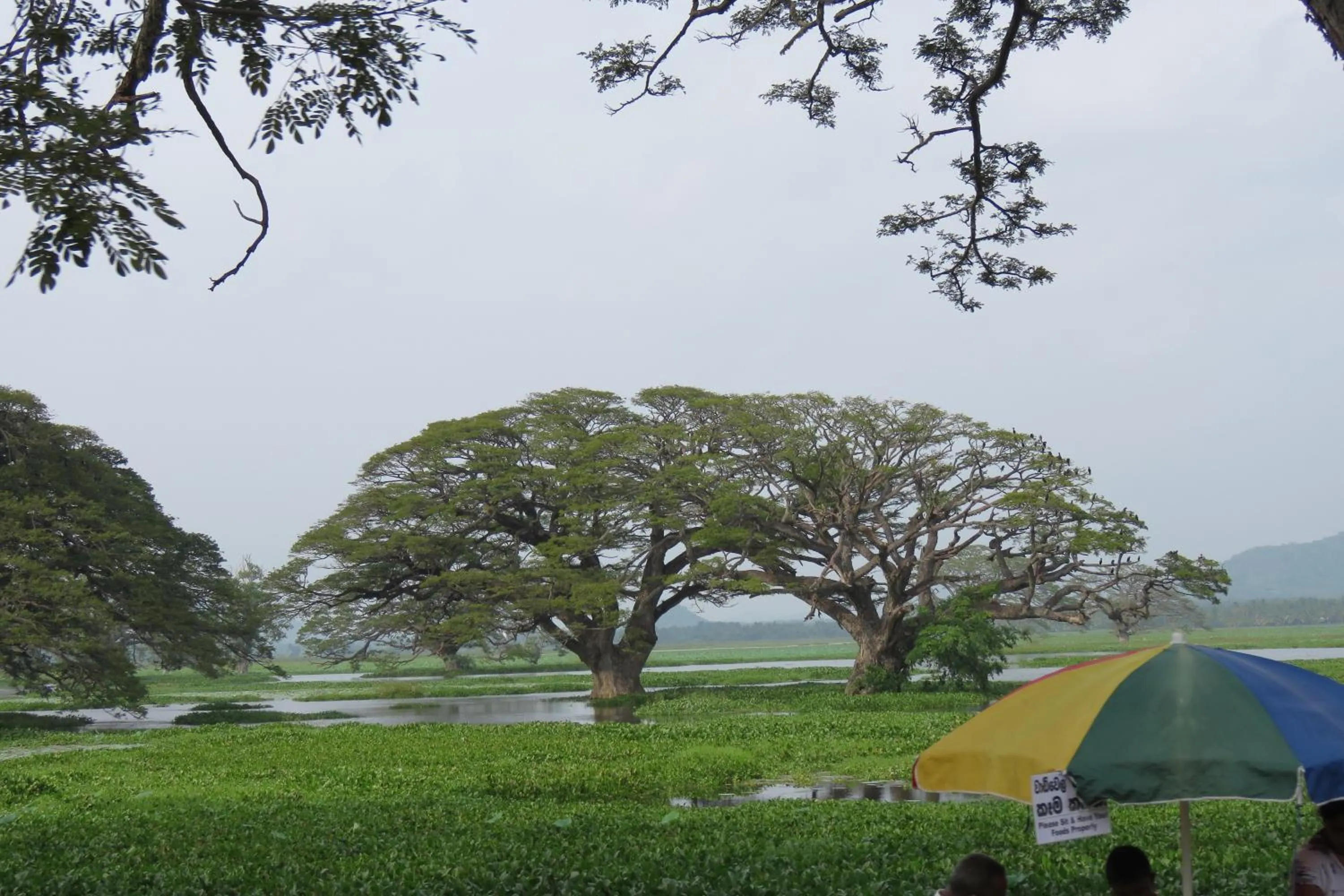 Property building in Yala Peace Cottages