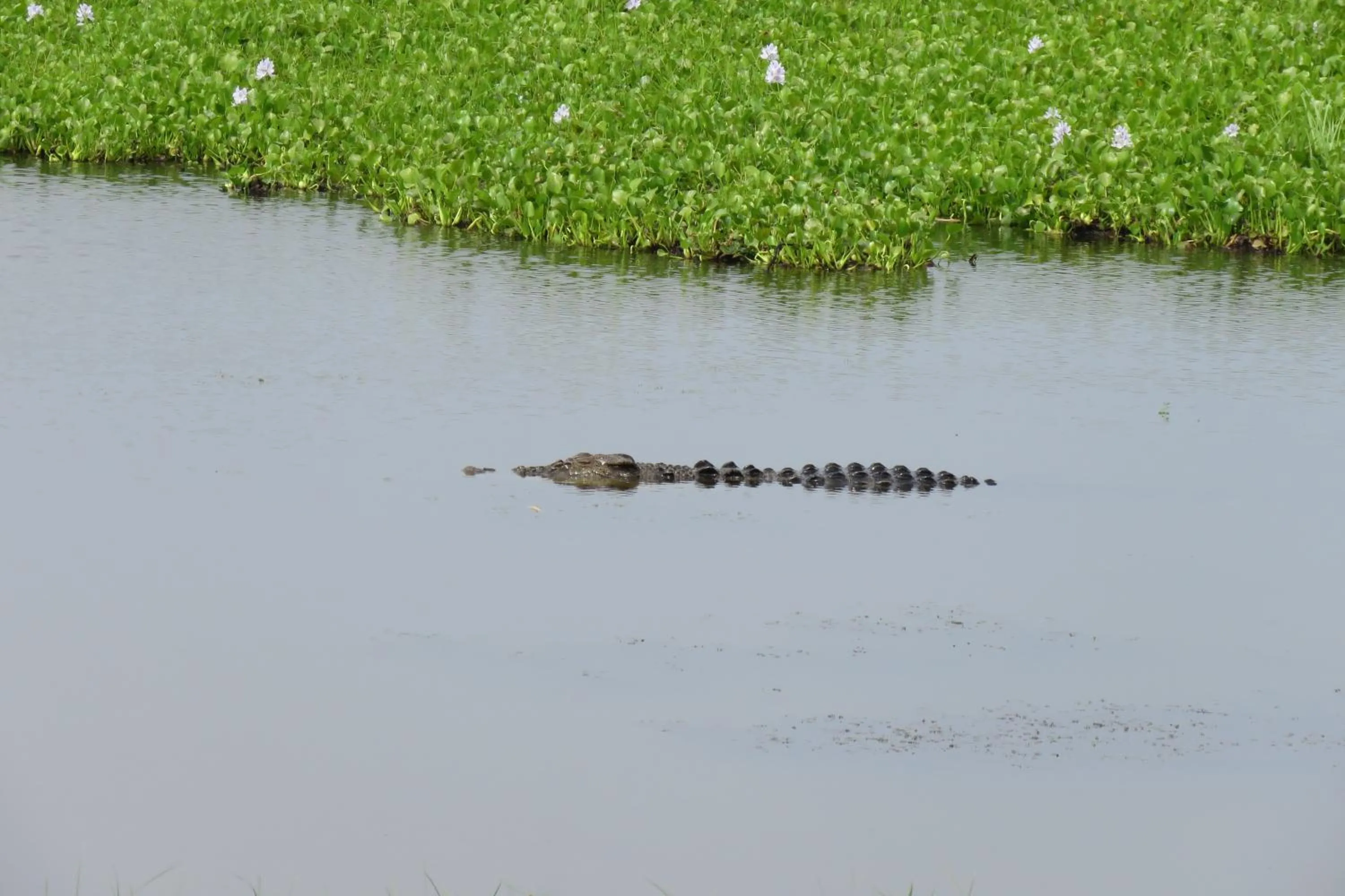Property building in Yala Peace Cottages