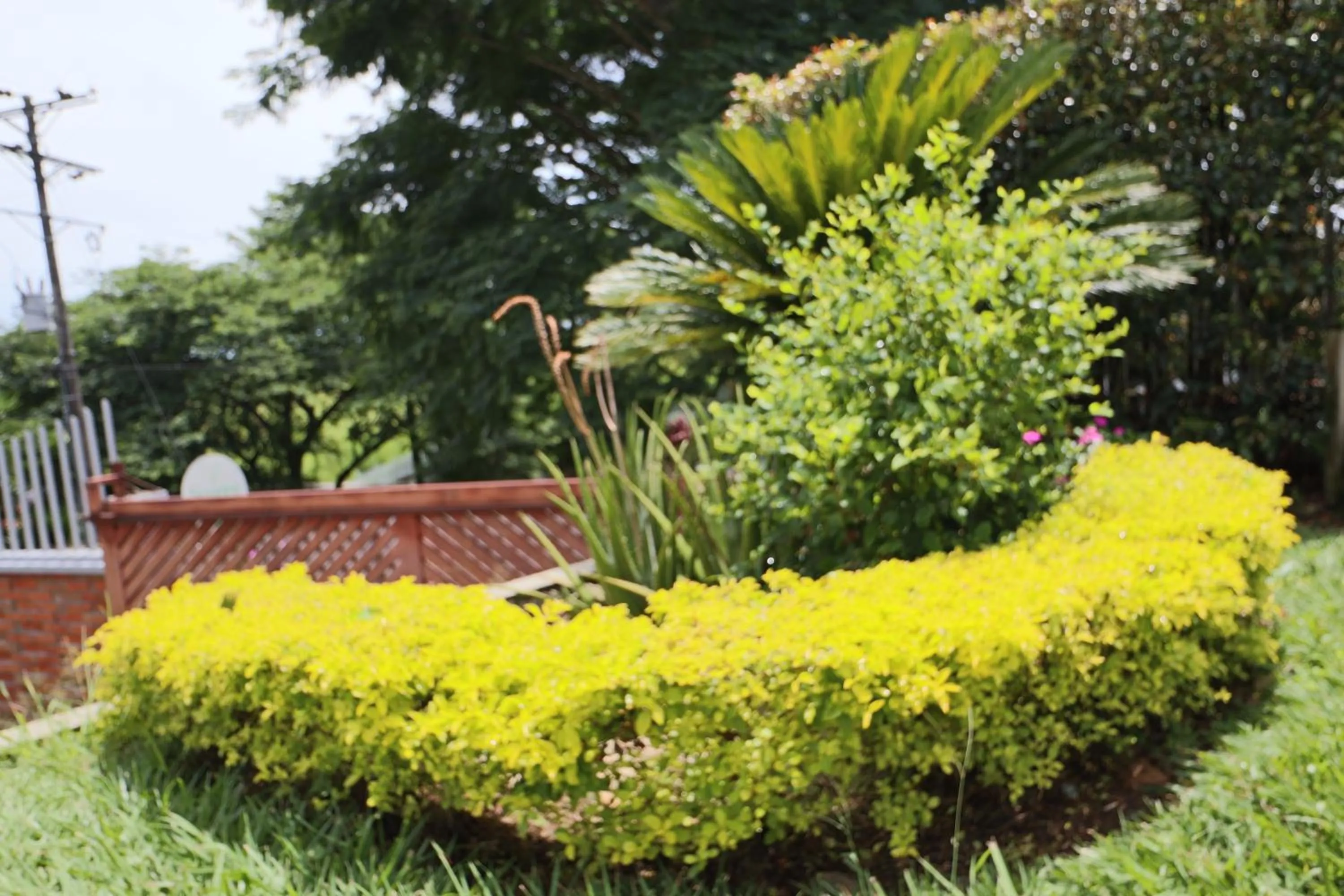 Garden in Hotel Syvanna Wellness and Spa