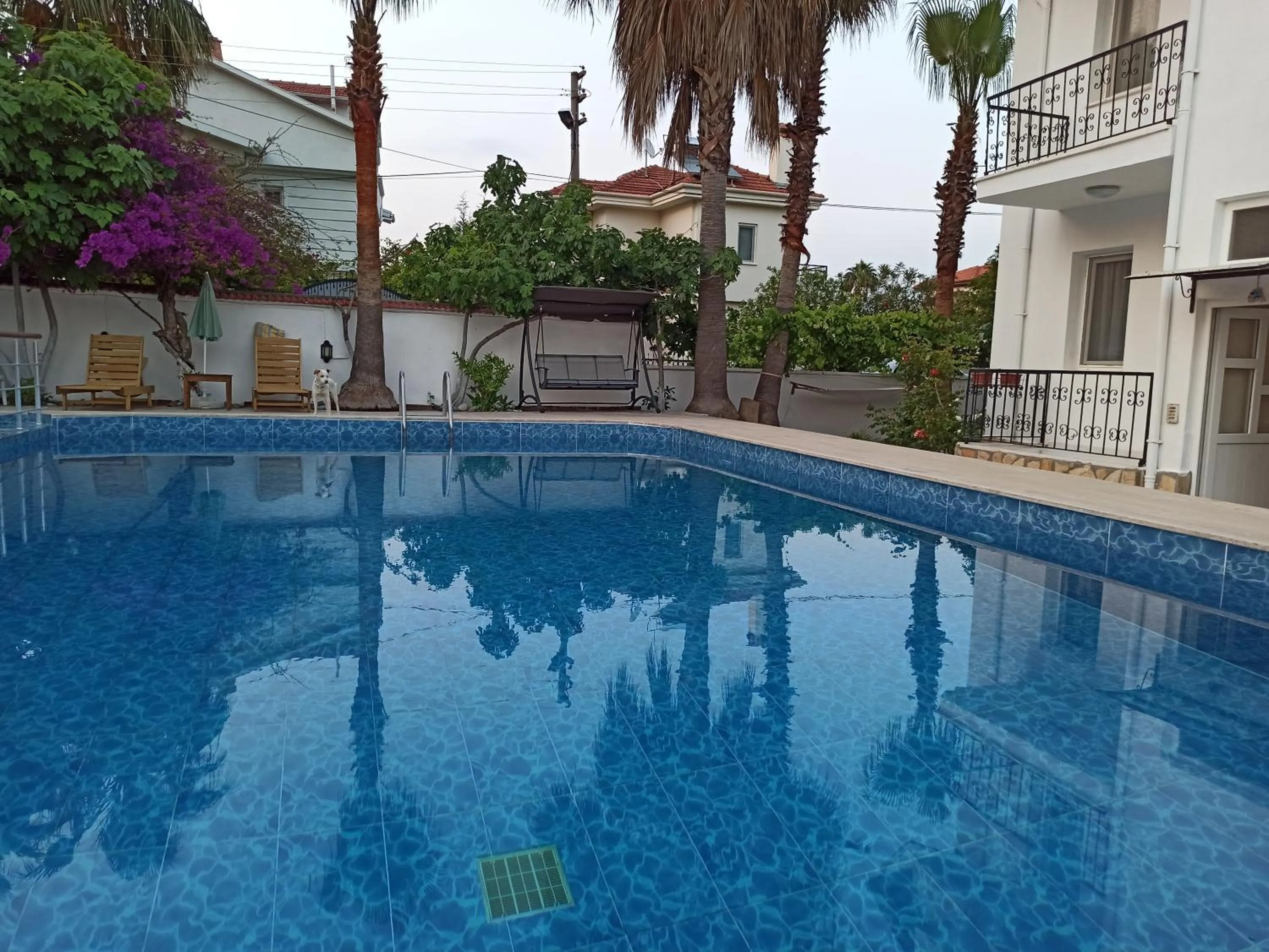 Pool view in Işıl Suit Apart Otel