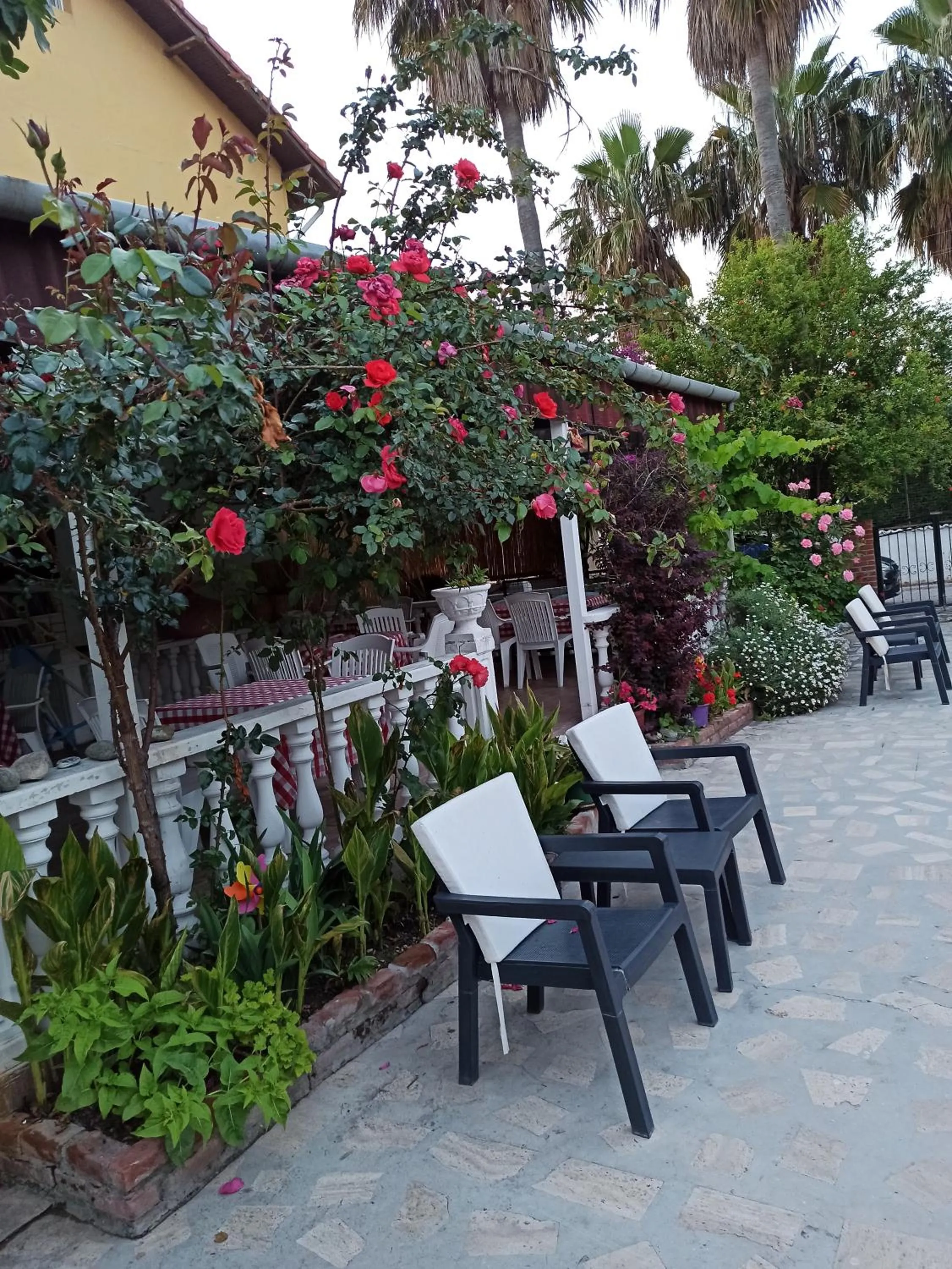 Patio in Işıl Suit Apart Otel