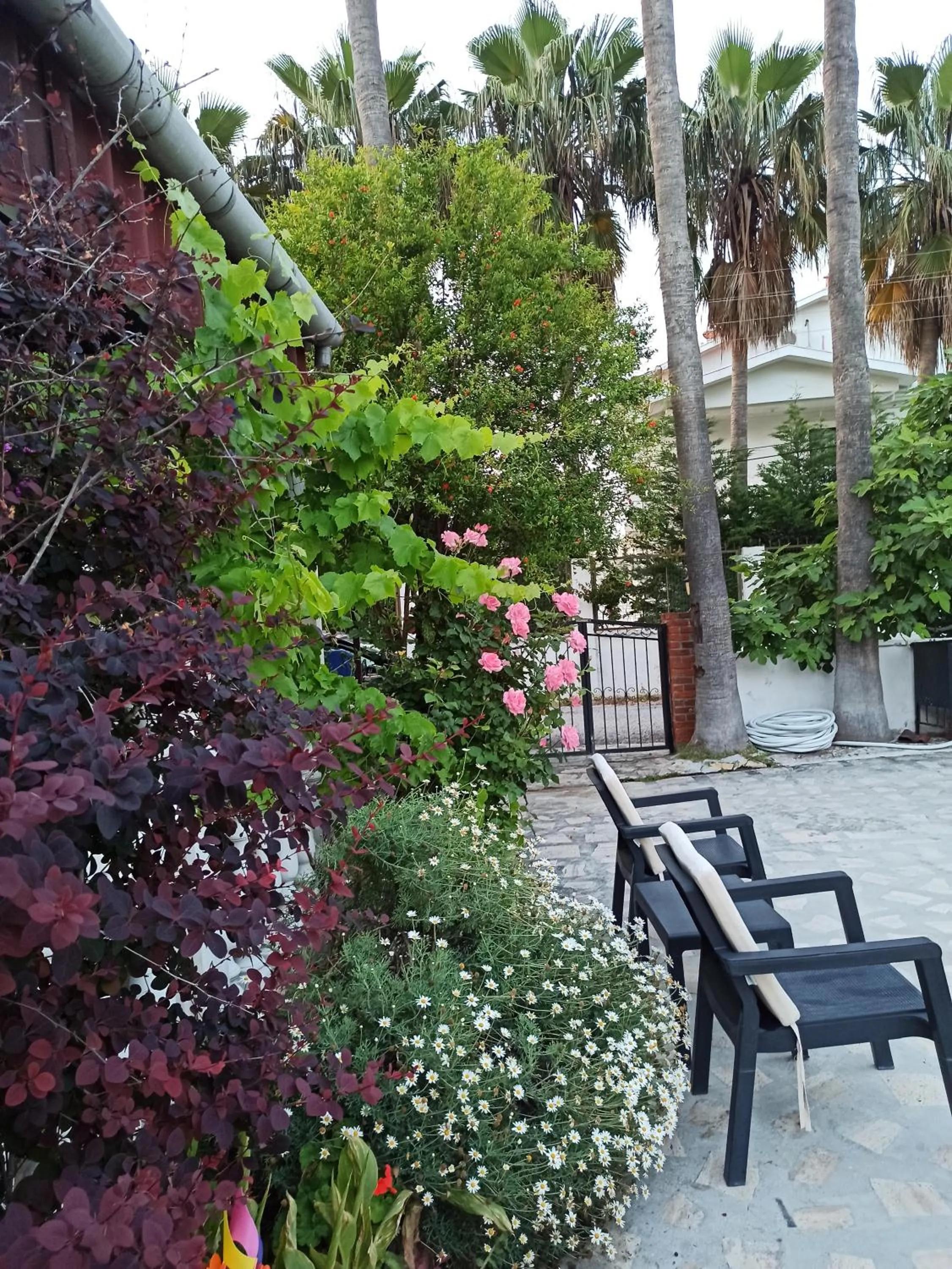 Garden view in Işıl Suit Apart Otel