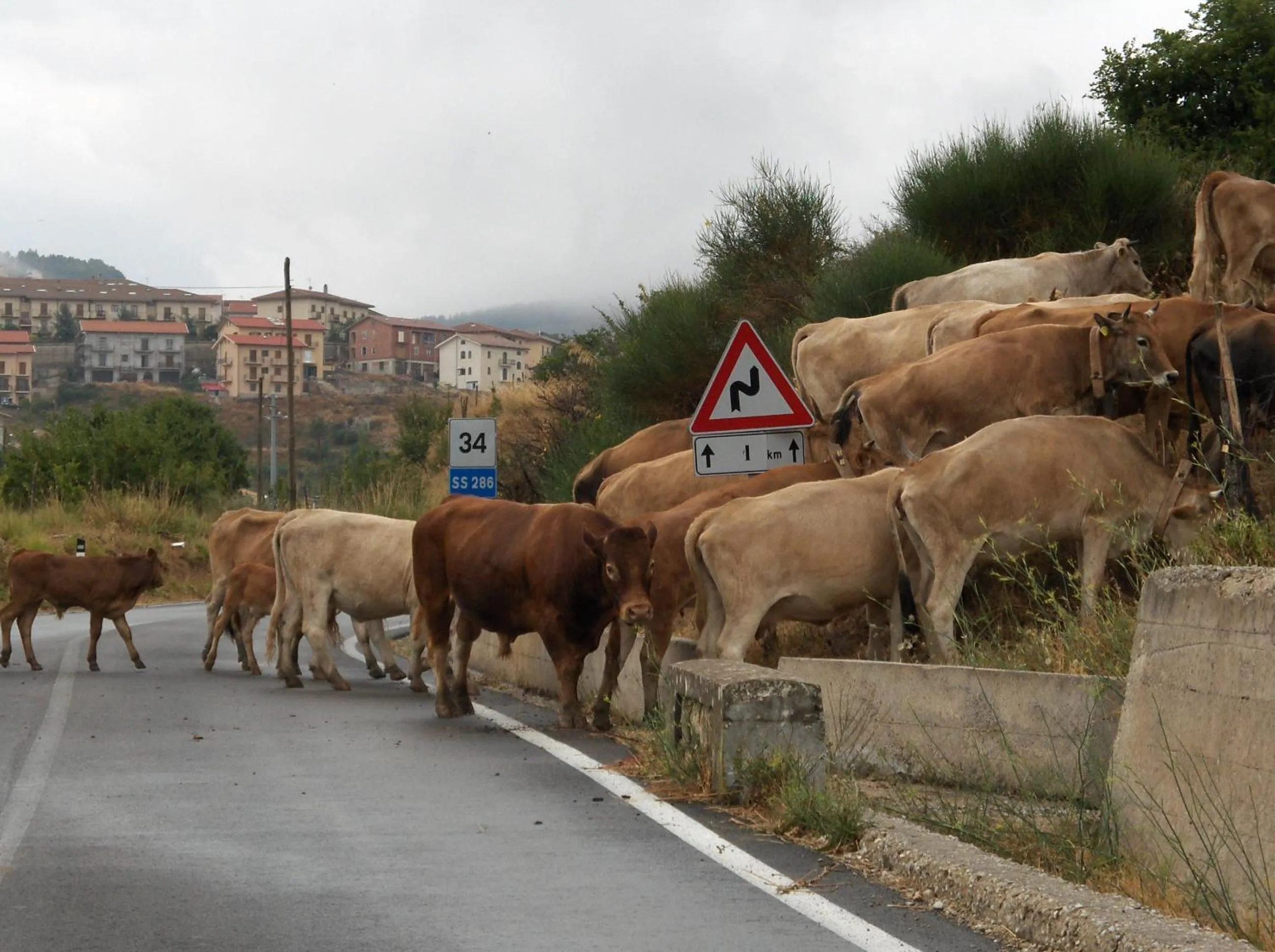 Property building in Notti O' Tunn Luxury Rooms in centro