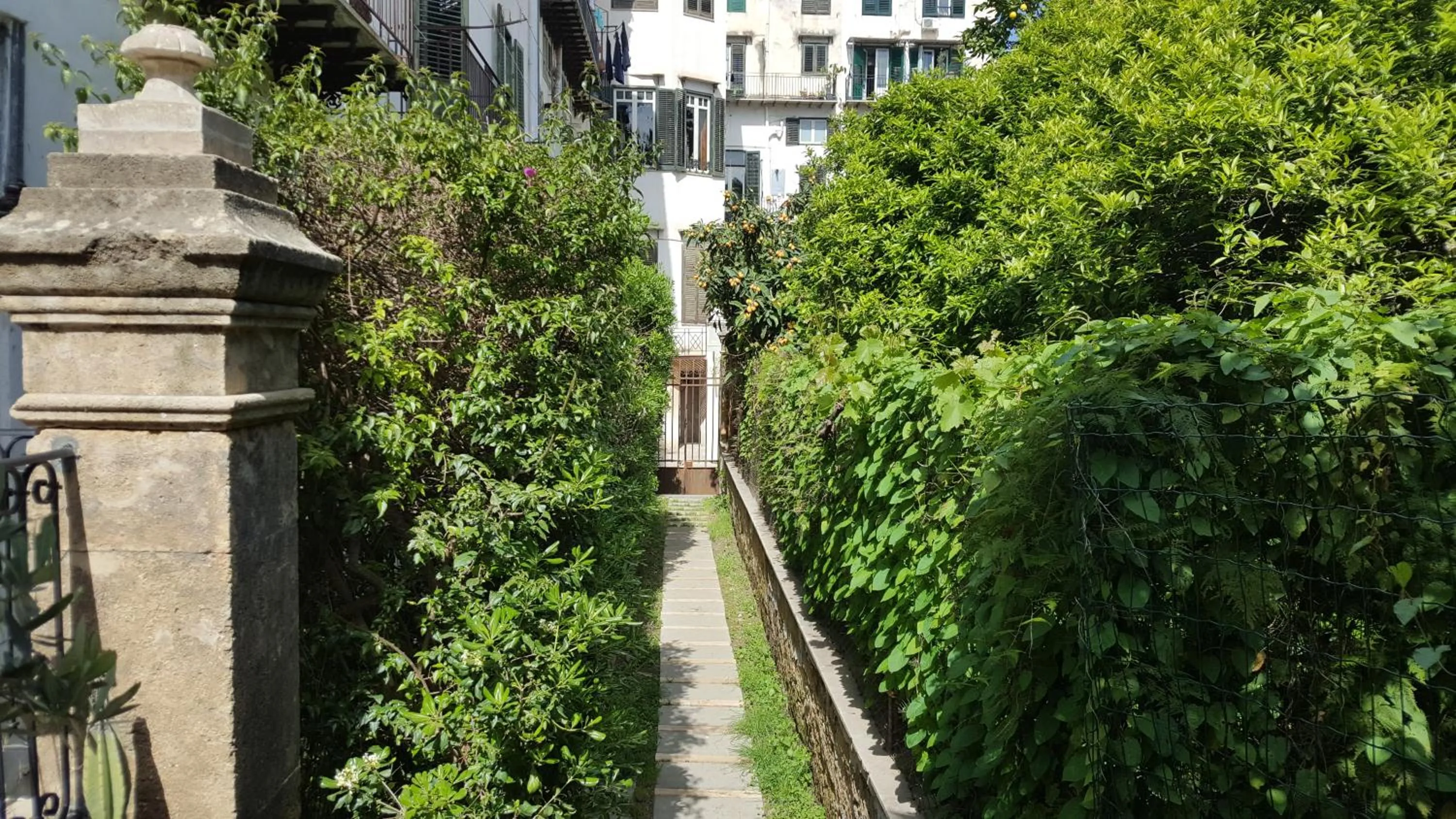 Nel Giardino degli Agrumi