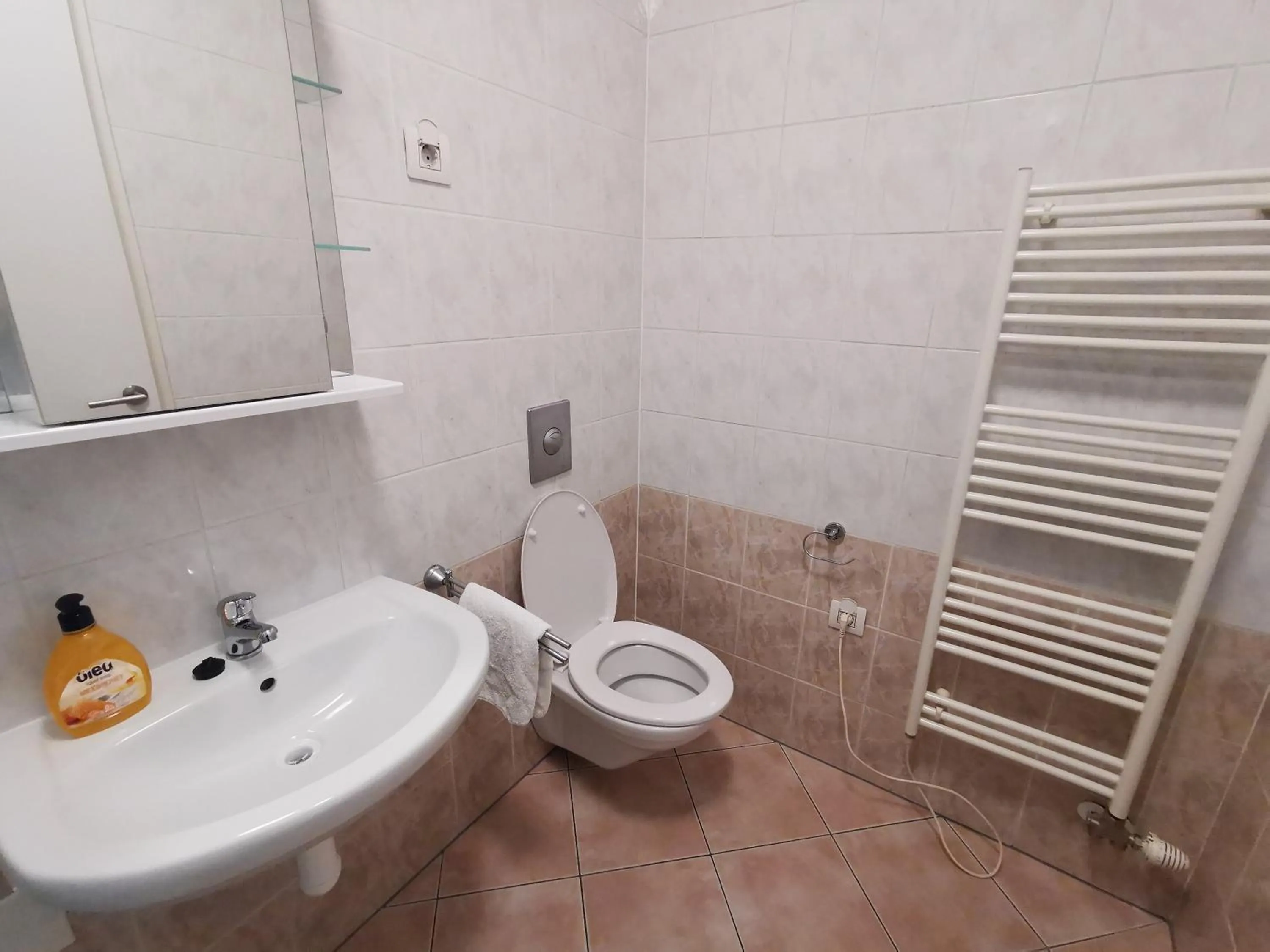 Bathroom in Trnovo apartment with free parking