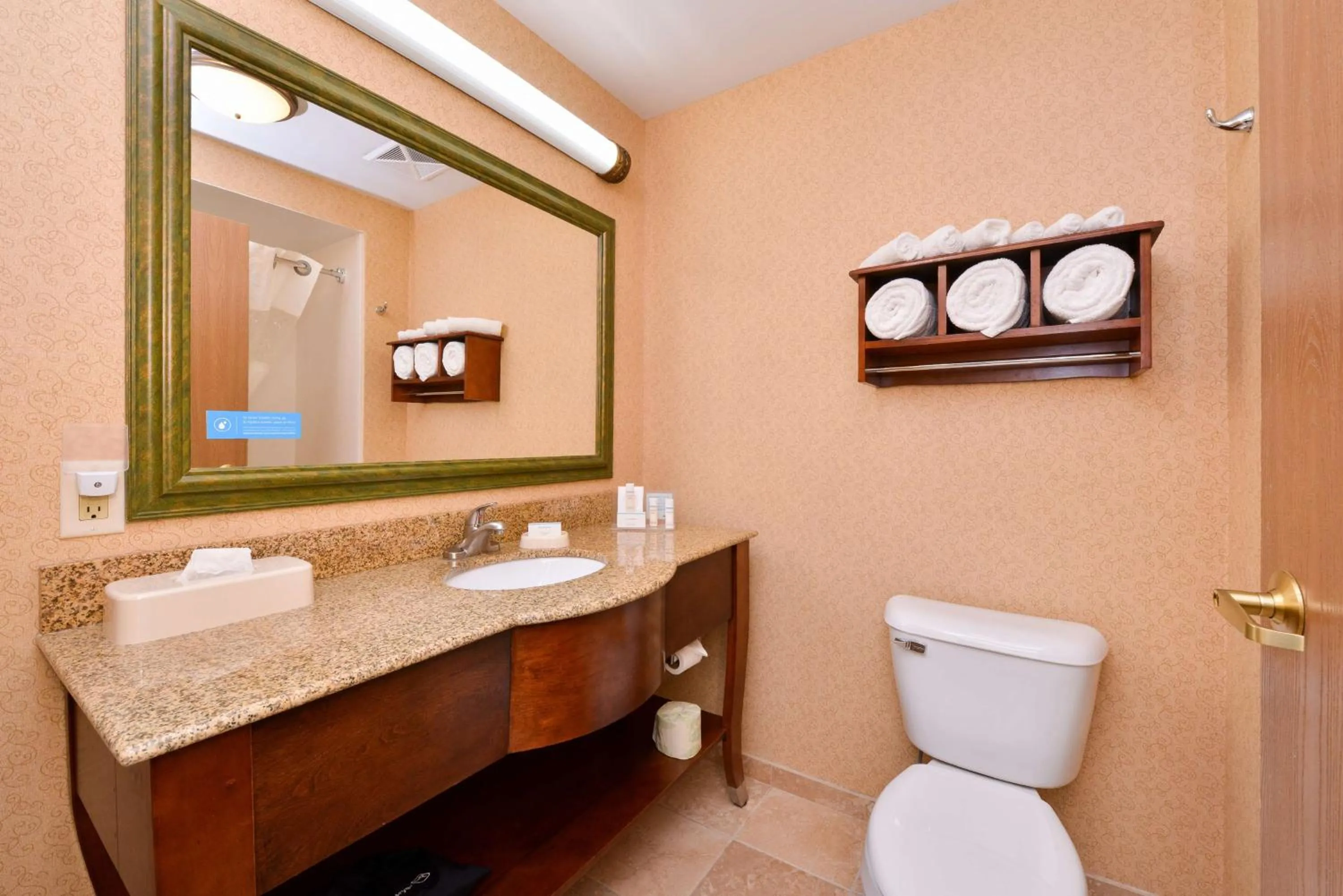 Bathroom in Hampton Inn Elkhart