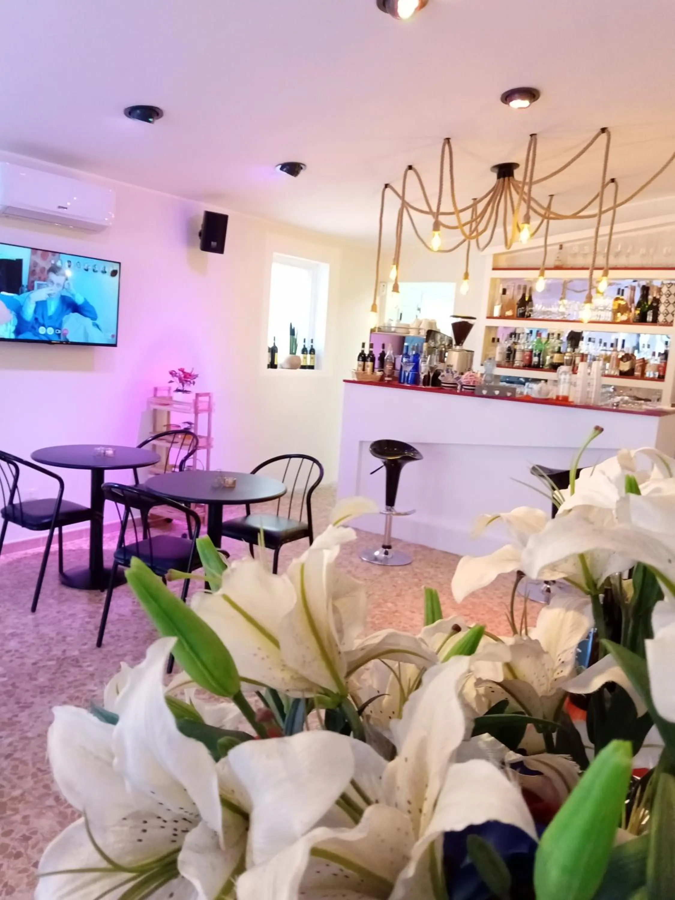 Restaurant/places to eat in Hotel del Ponte