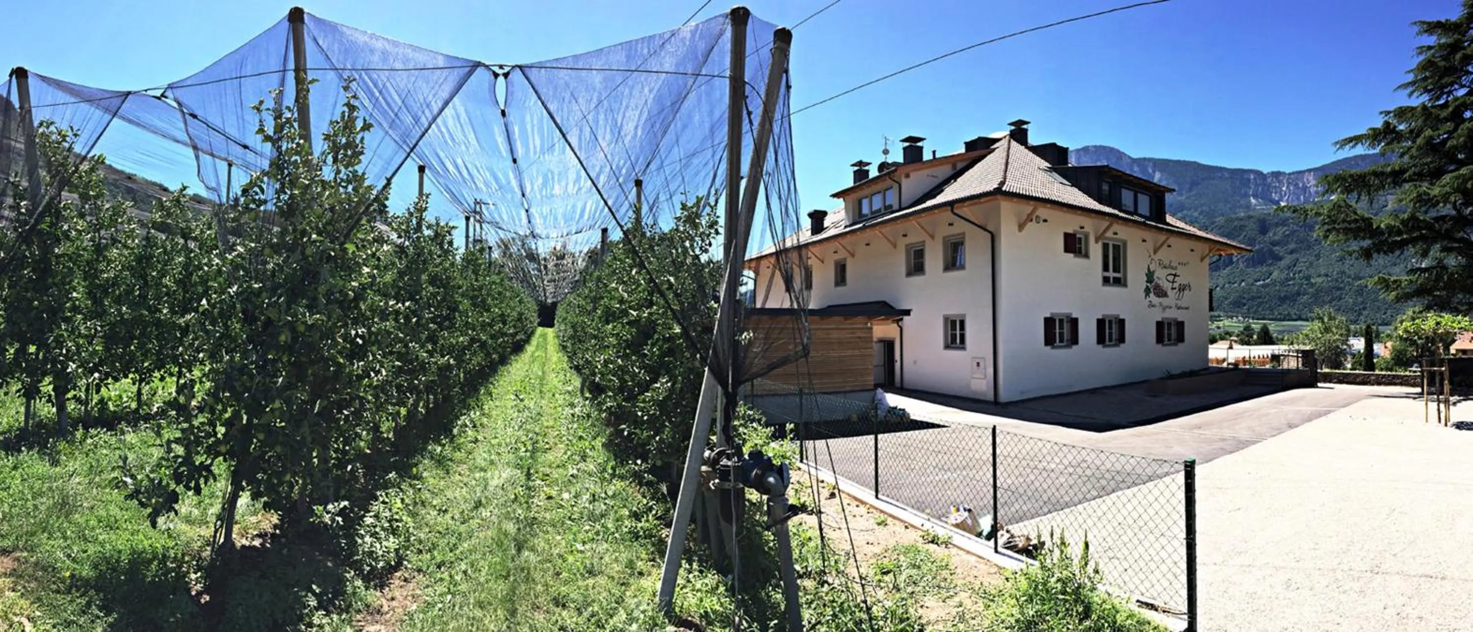Facade/entrance in Residence Egger