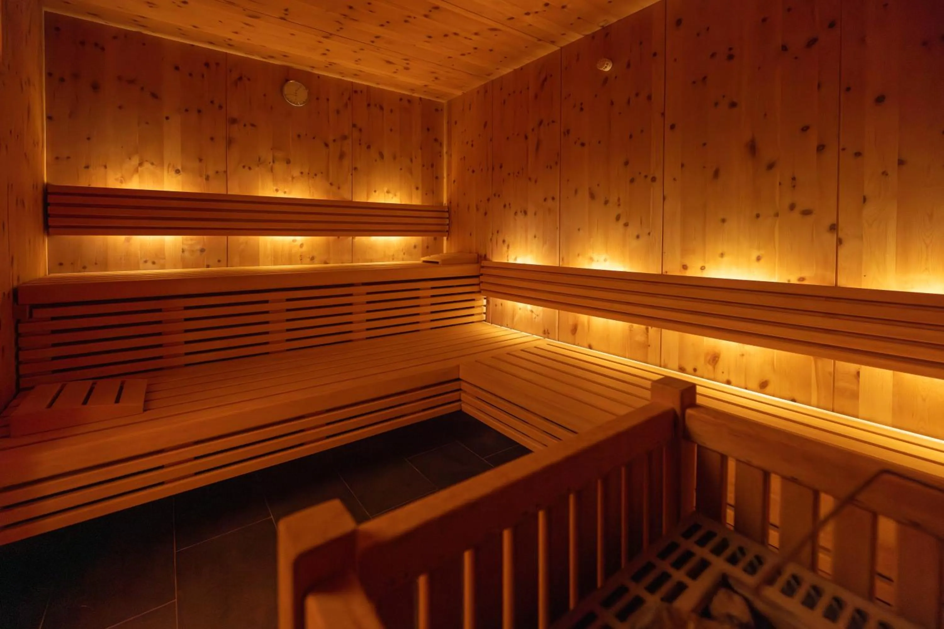 Sauna in Residence Egger