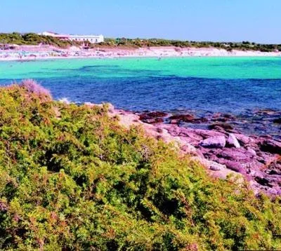 Other in Hotel Stella Del Sud