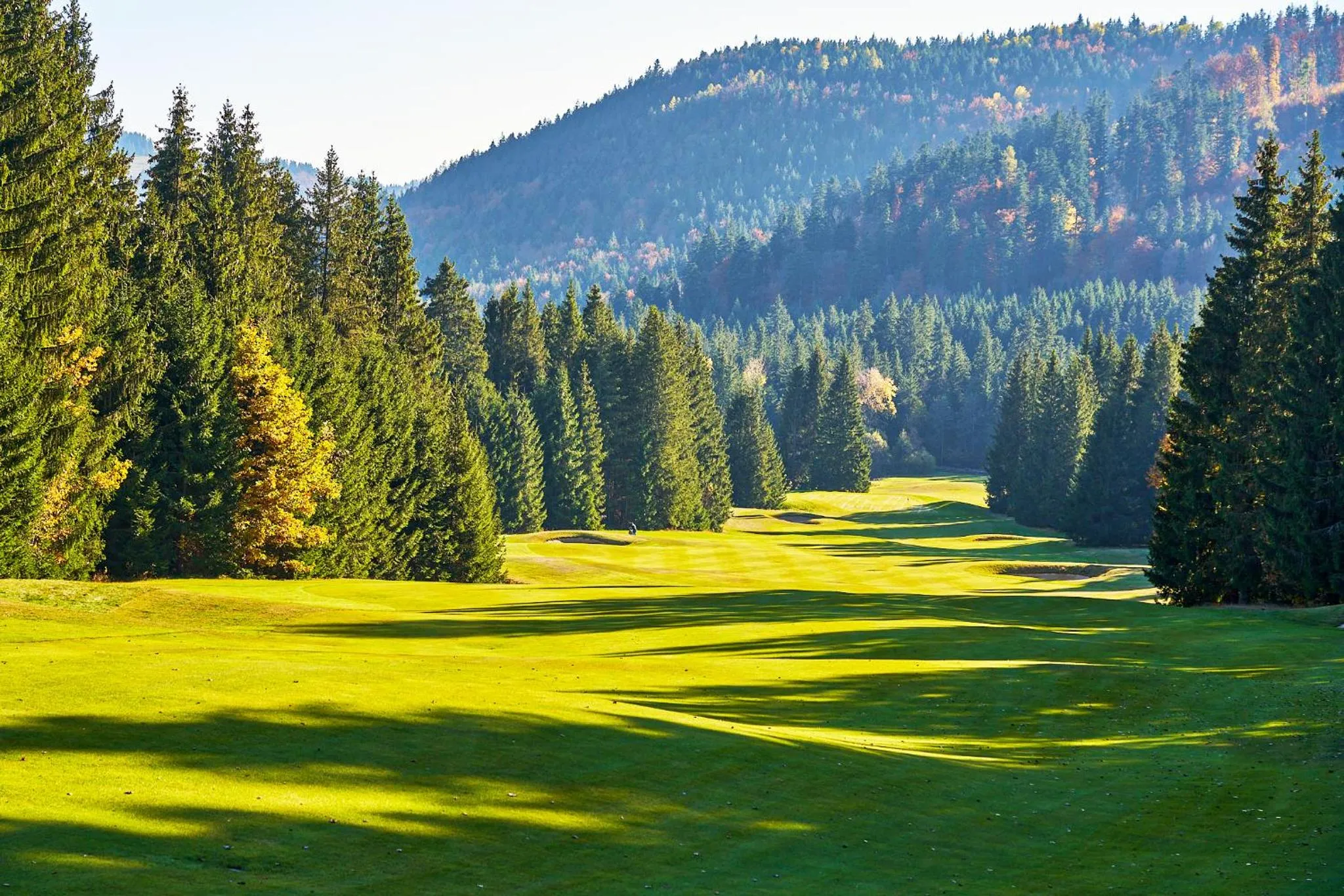 Natural landscape in Hotel Stupka