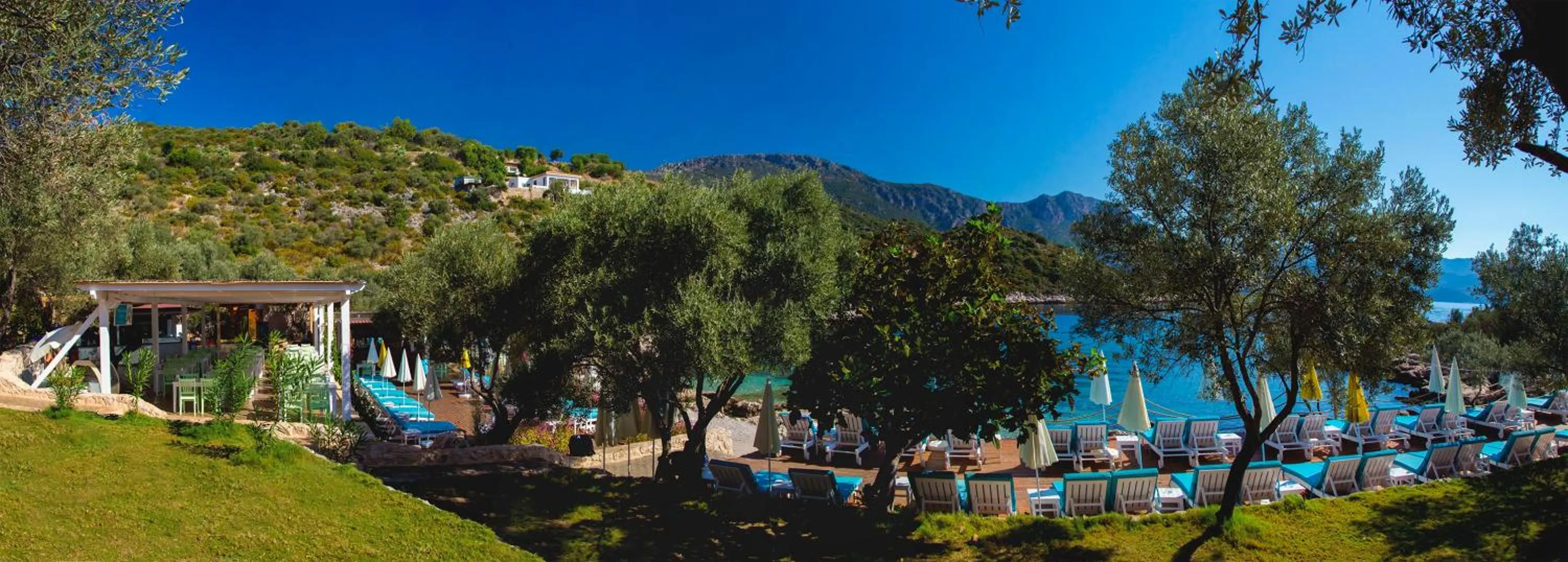 Garden in Blanca Beach Hotel