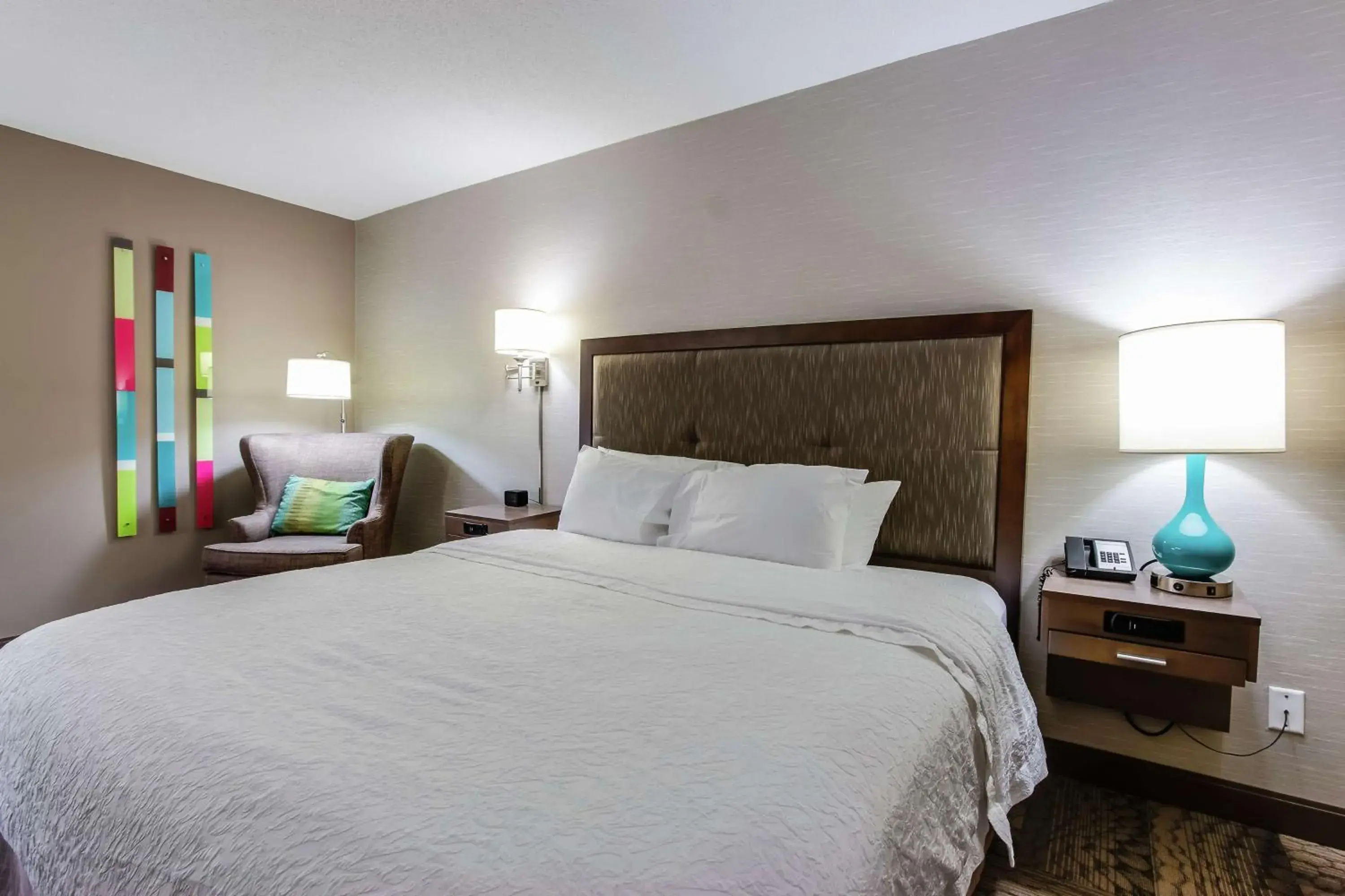 King Room with Accessible Tub - Mobility and Hearing Access/Non-Smoking in Hampton Inn Dickson King Room with Accessible Tub - Mobility and Hearing Access/Non-Smoking in Hampton Inn Dickson