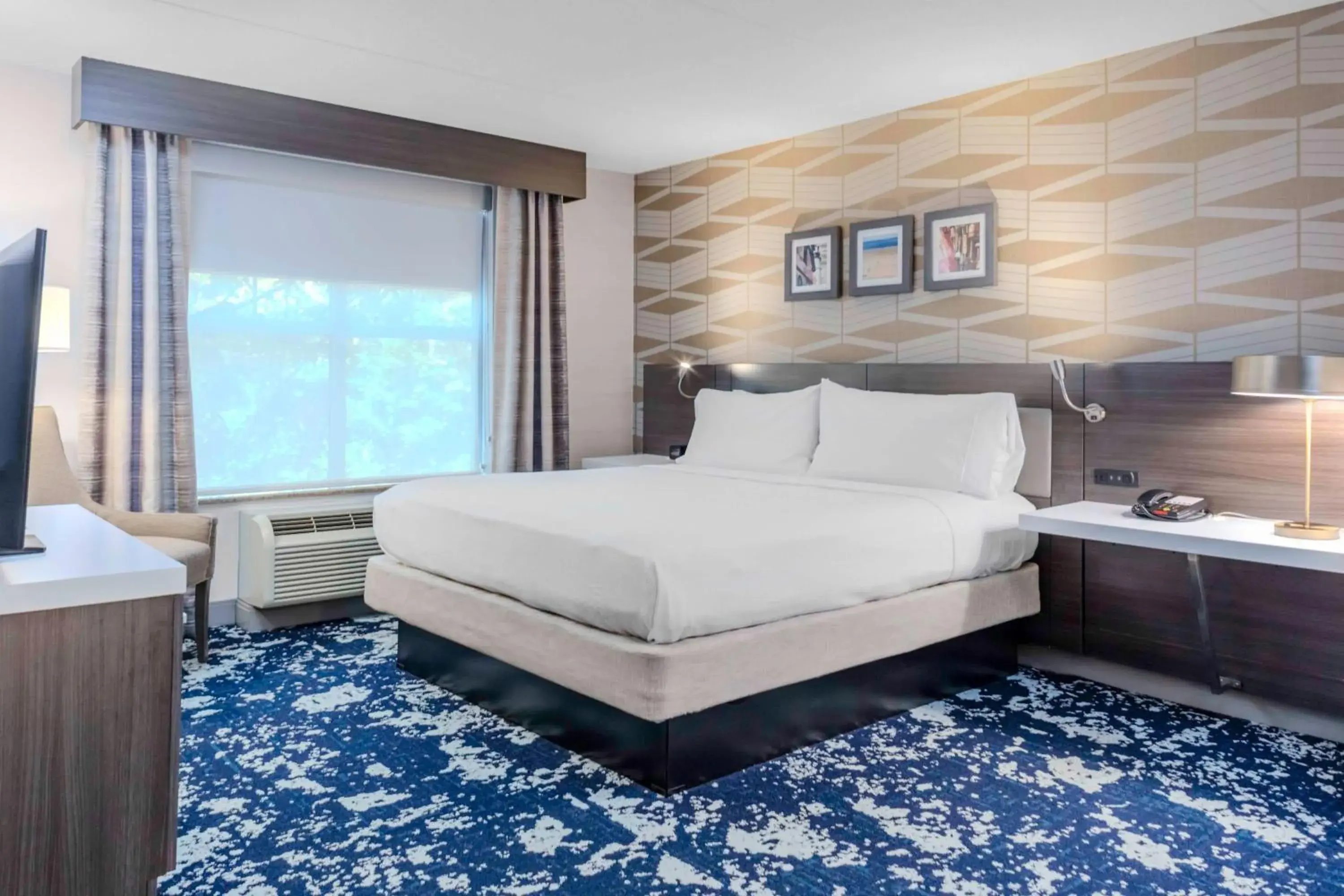 Premium One-Bedroom King Suite with Sofa Bed in Hilton Garden Inn Freeport Downtown Premium One-Bedroom King Suite with Sofa Bed in Hilton Garden Inn Freeport Downtown