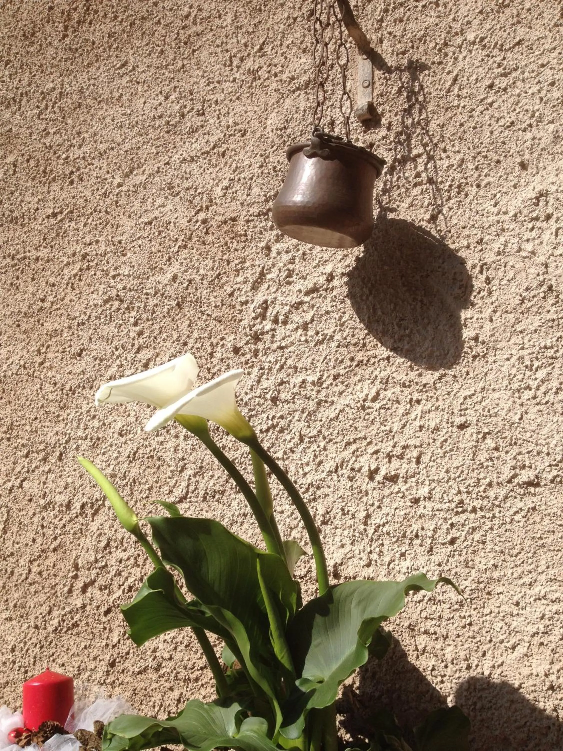 Property building in La Tana del Ghiro