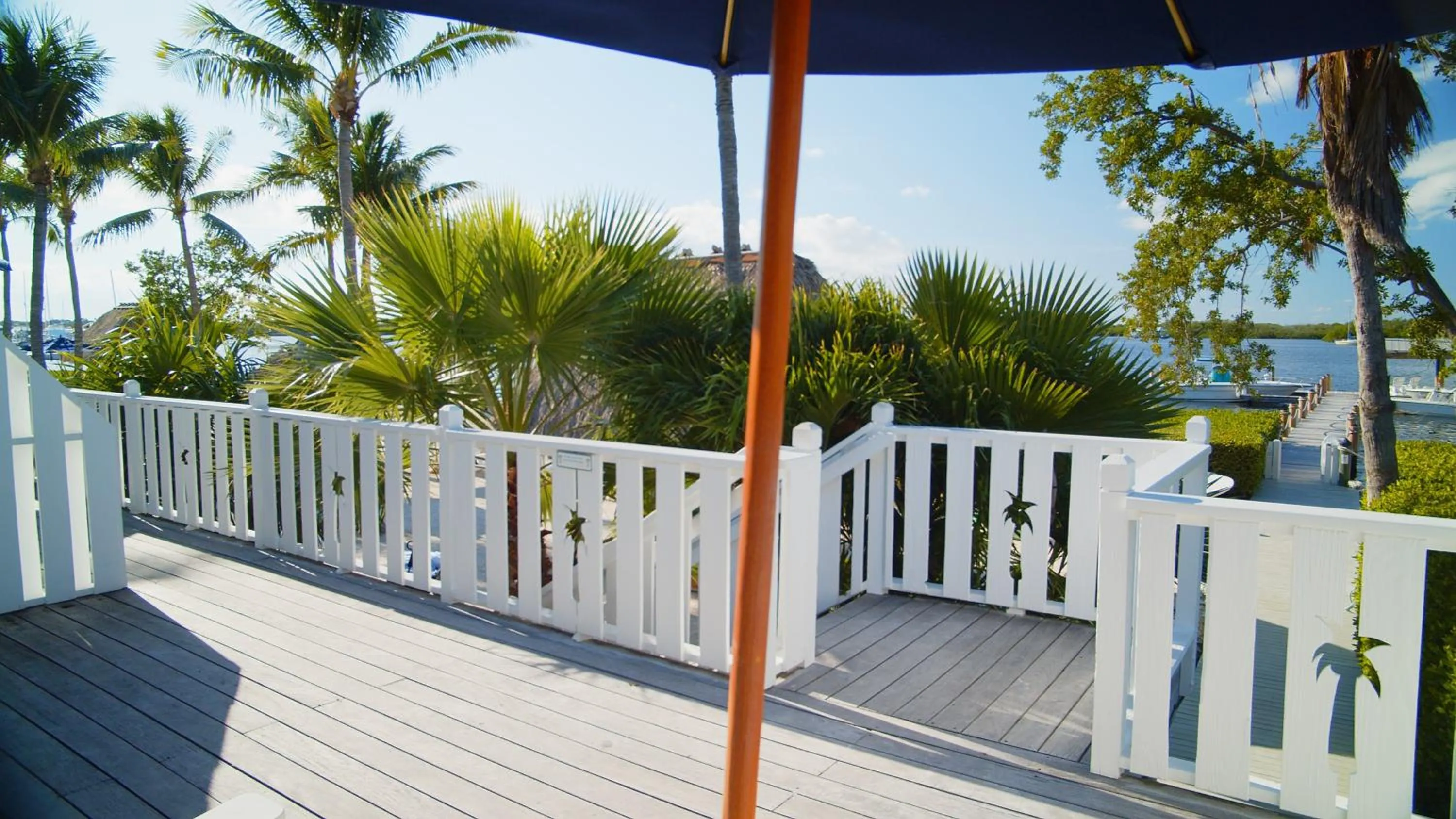 View (from property/room) in Coconut Palm Inn