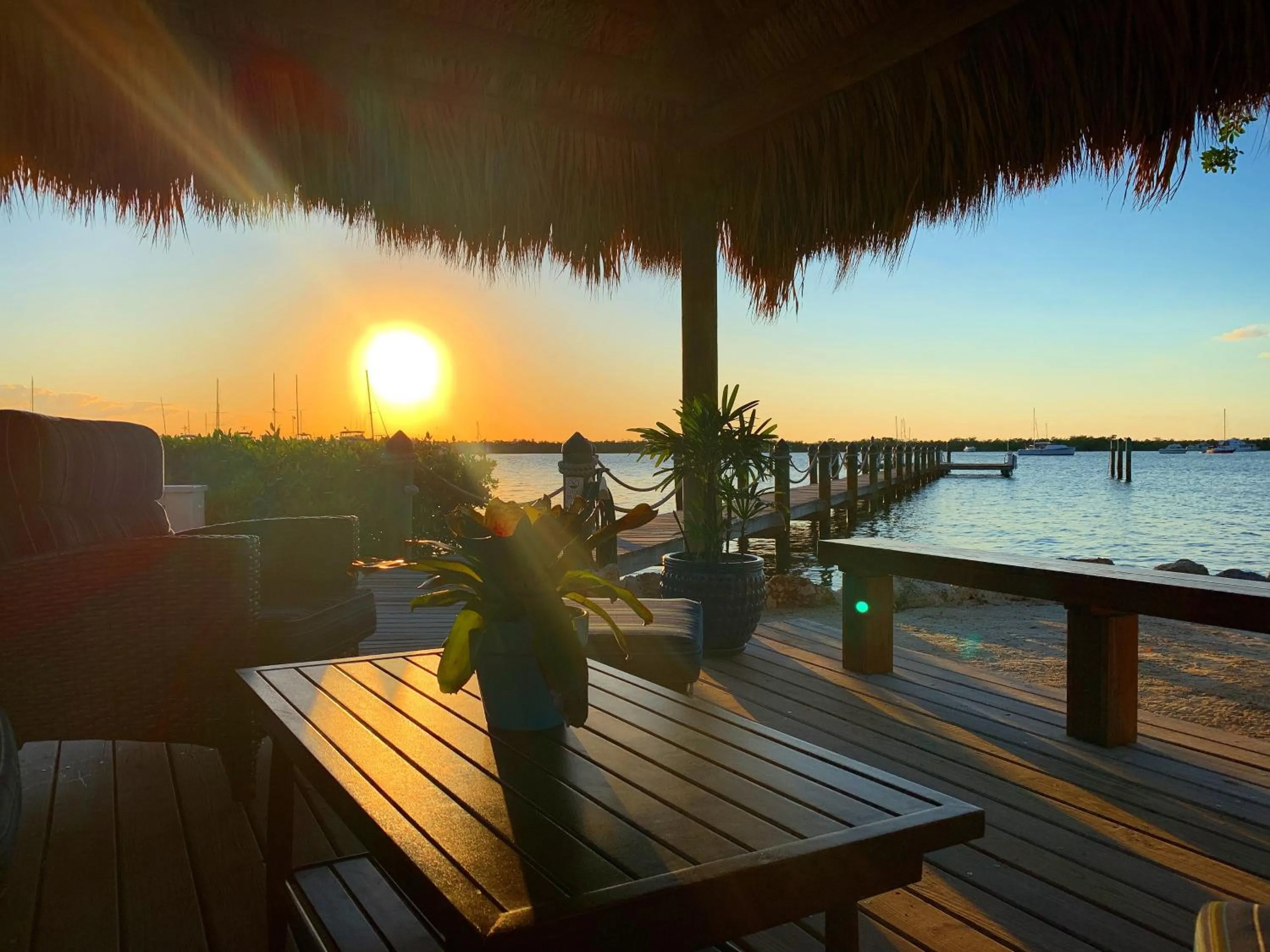 Balcony/Terrace in Coconut Palm Inn