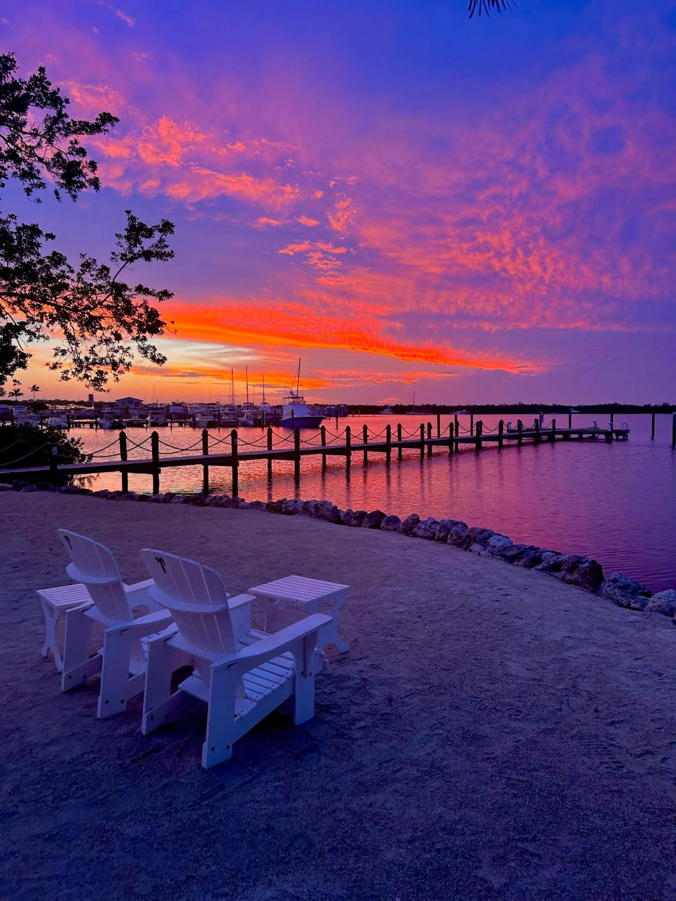 Natural landscape in Coconut Palm Inn