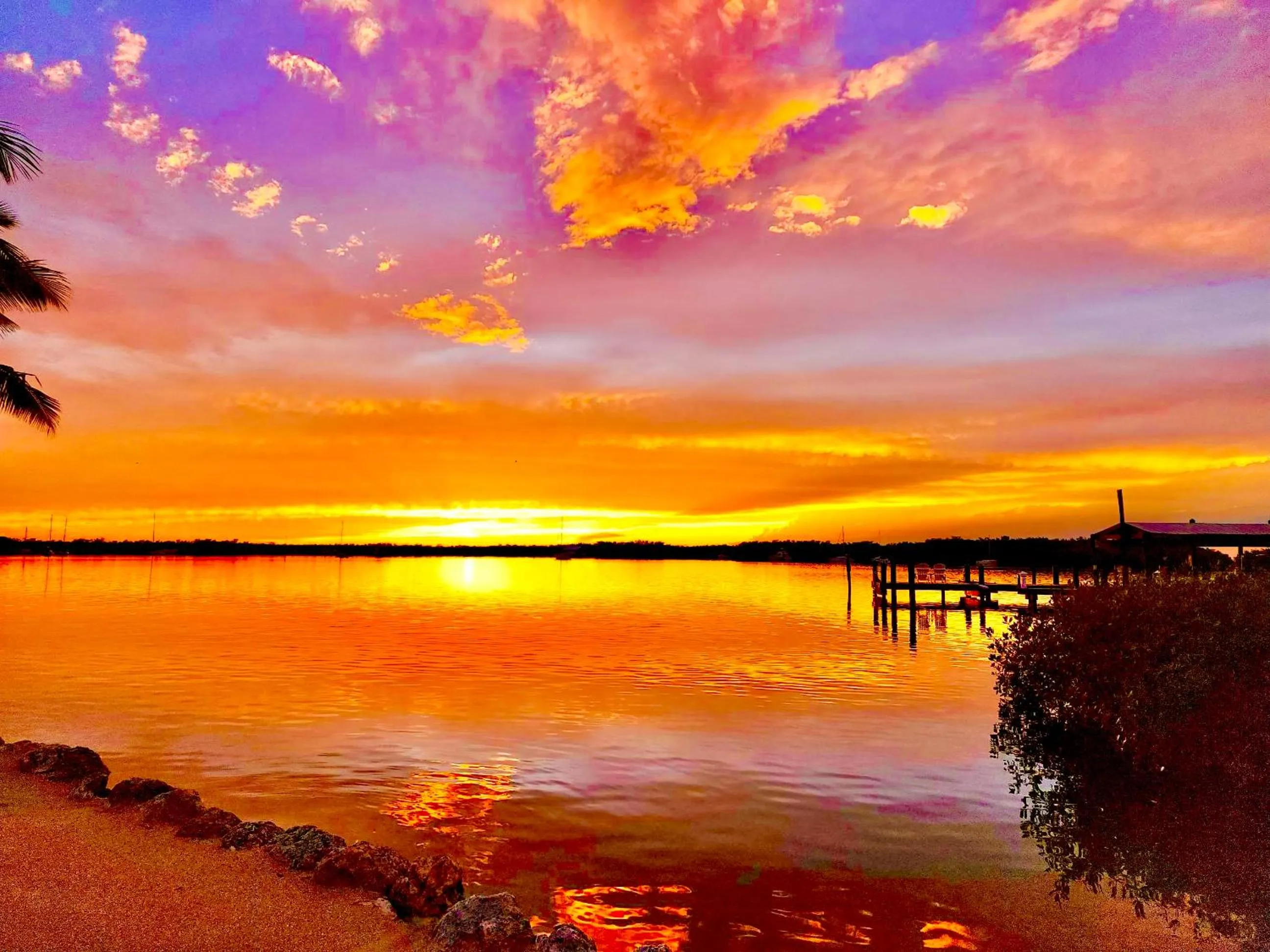 Natural landscape in Coconut Palm Inn