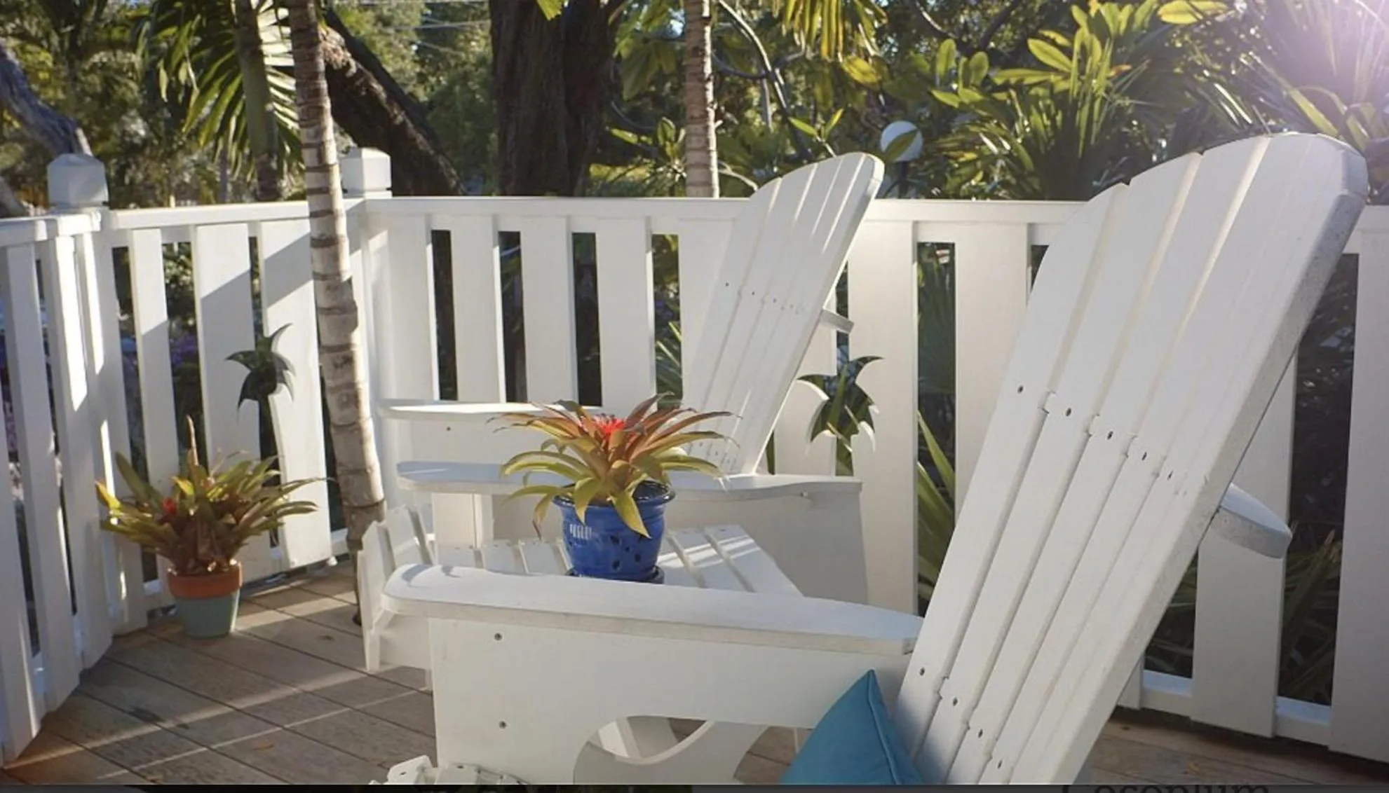 Day in Coconut Palm Inn