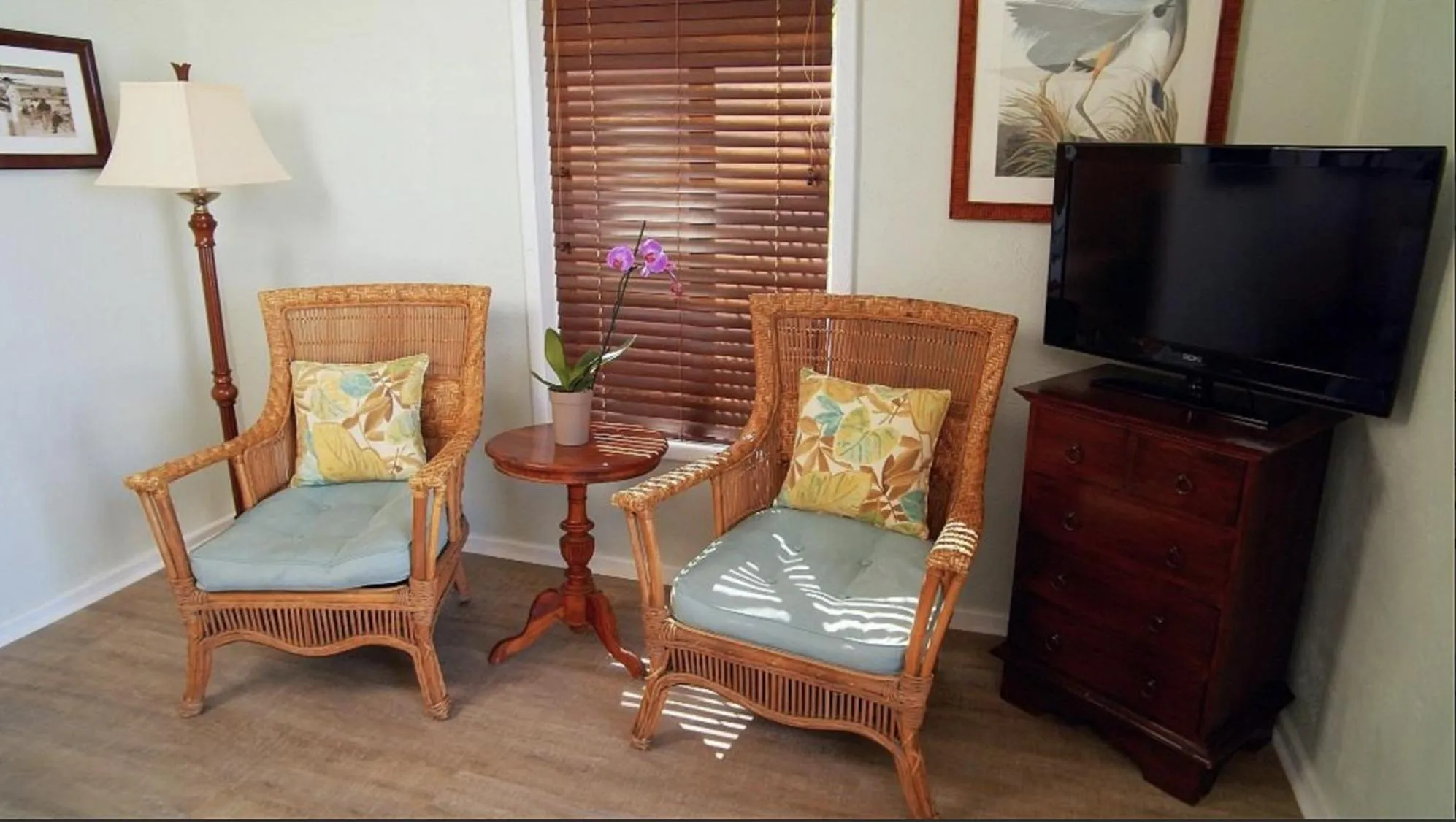 TV and multimedia in Coconut Palm Inn