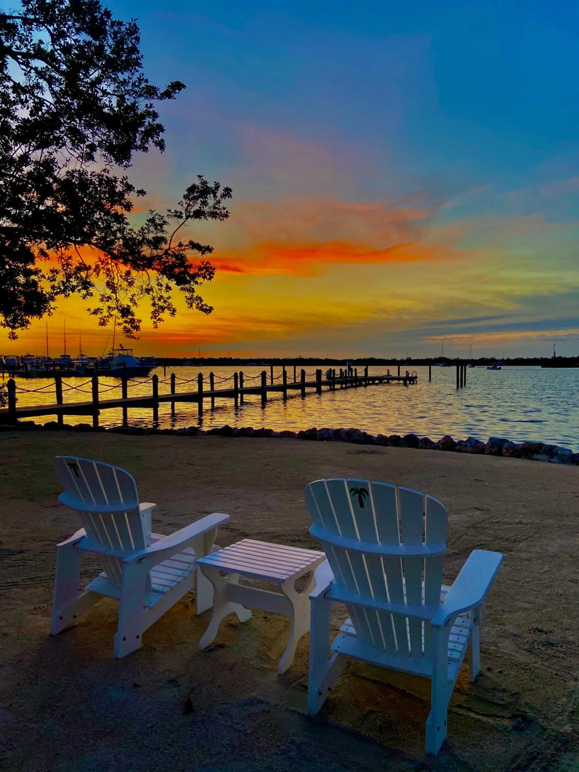 Beach in Coconut Palm Inn