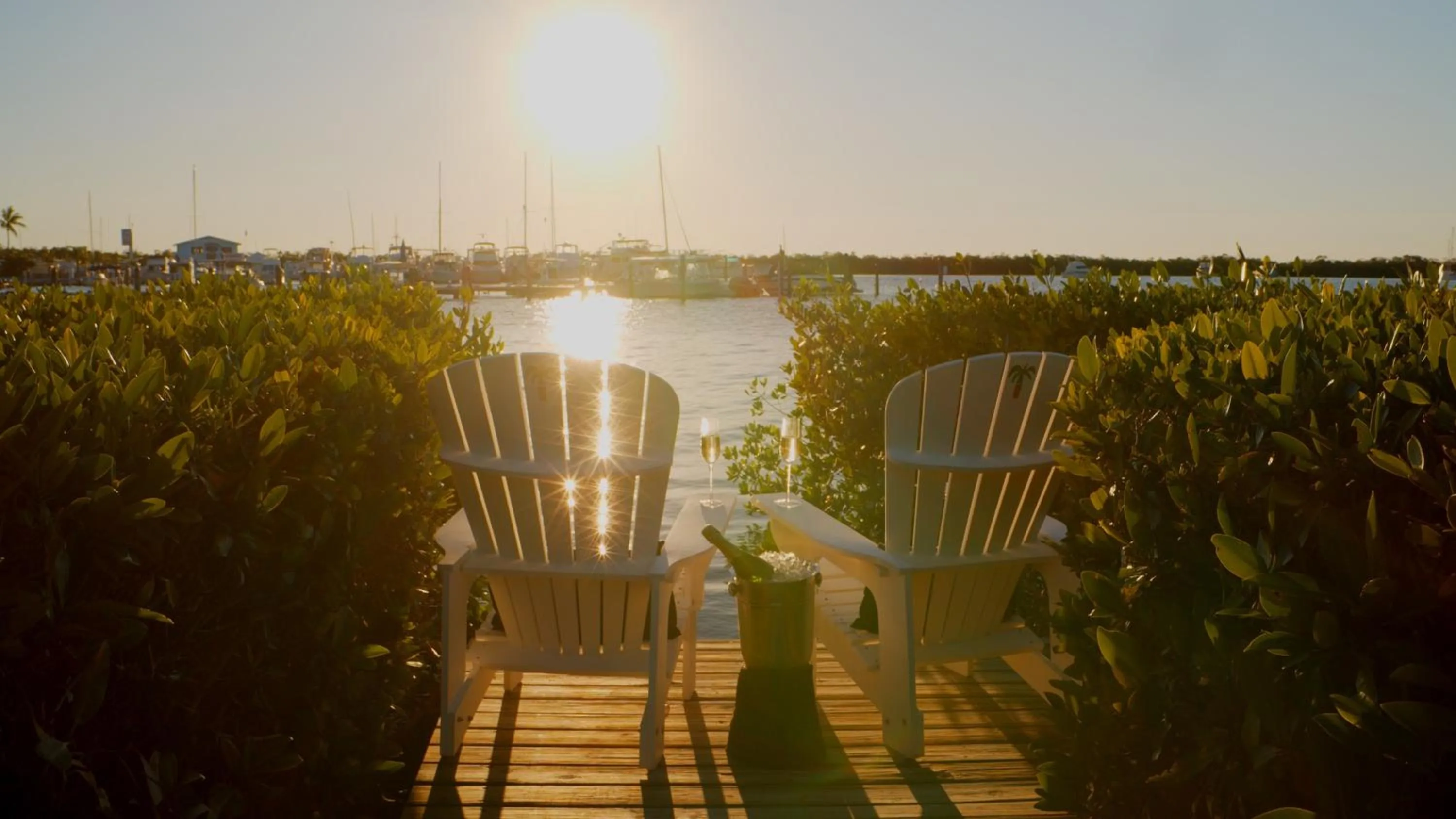 View (from property/room) in Coconut Palm Inn