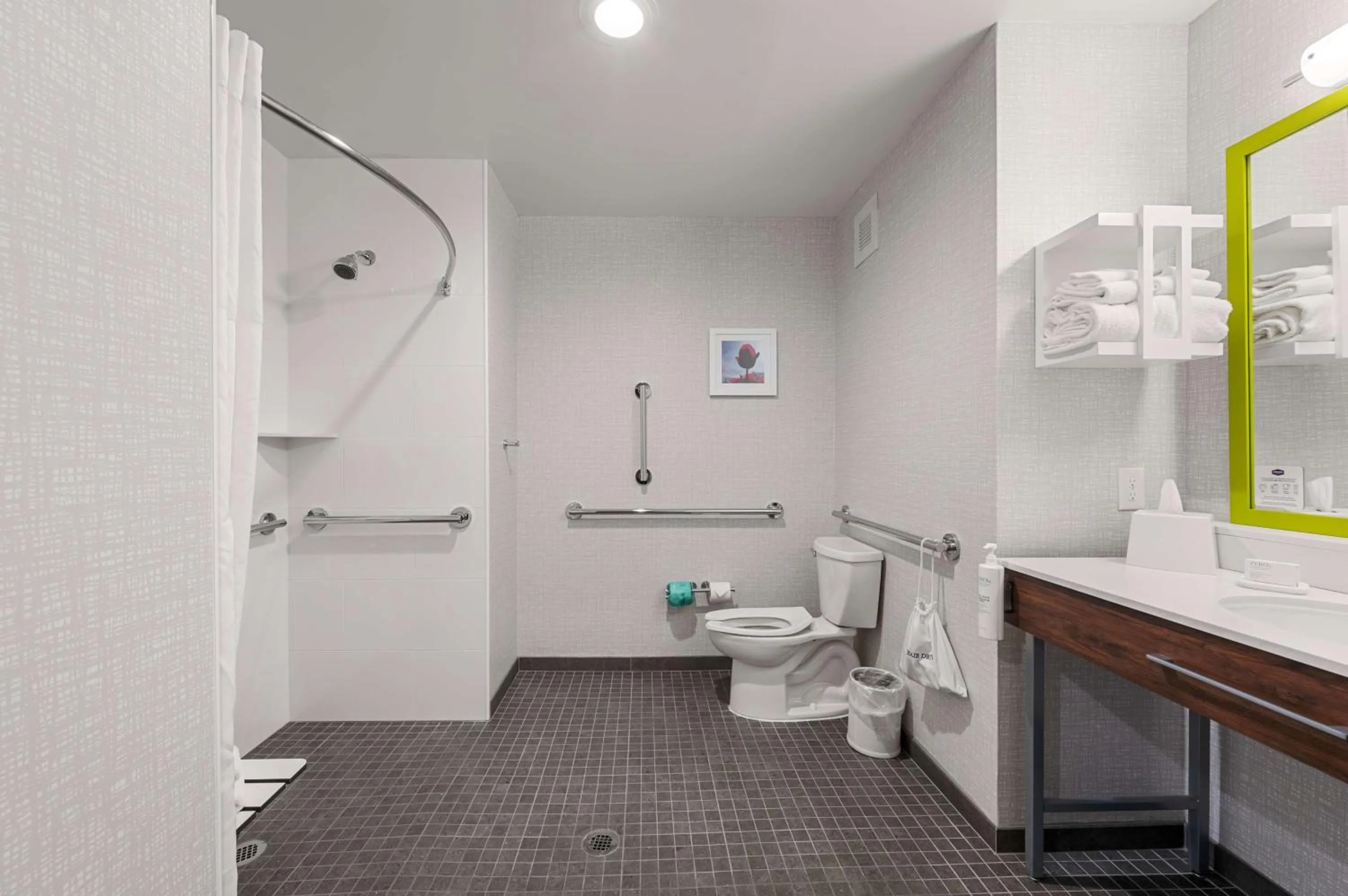 Bathroom in Hampton Inn Front Royal