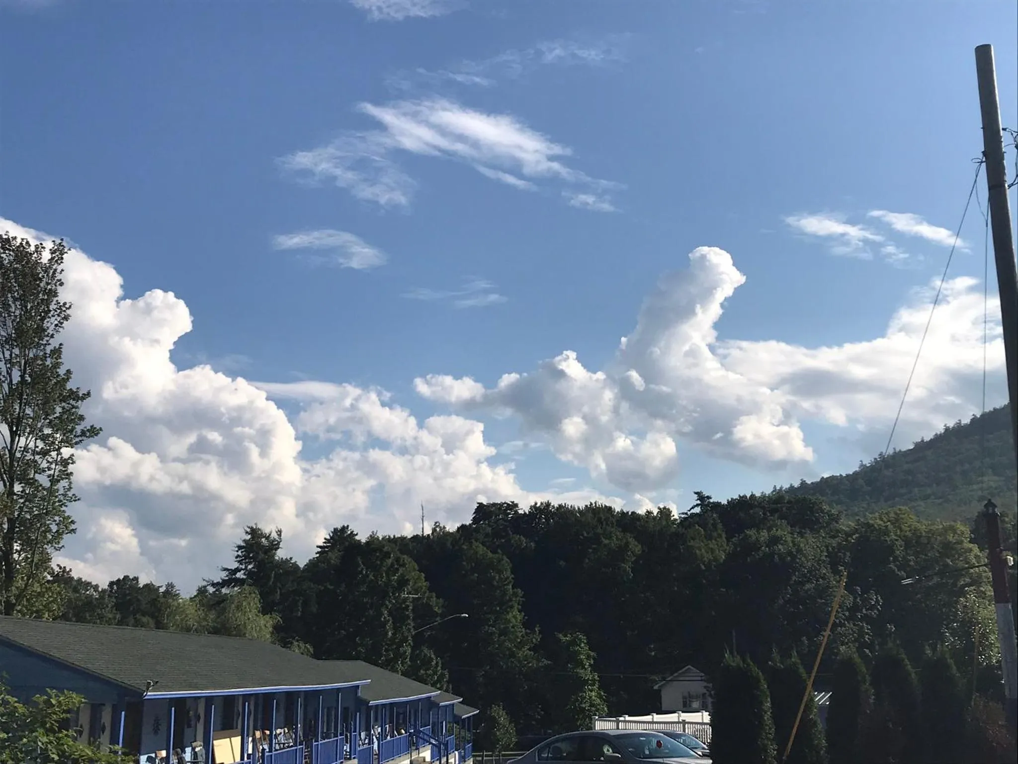 View (from property/room) in Hillside Motel