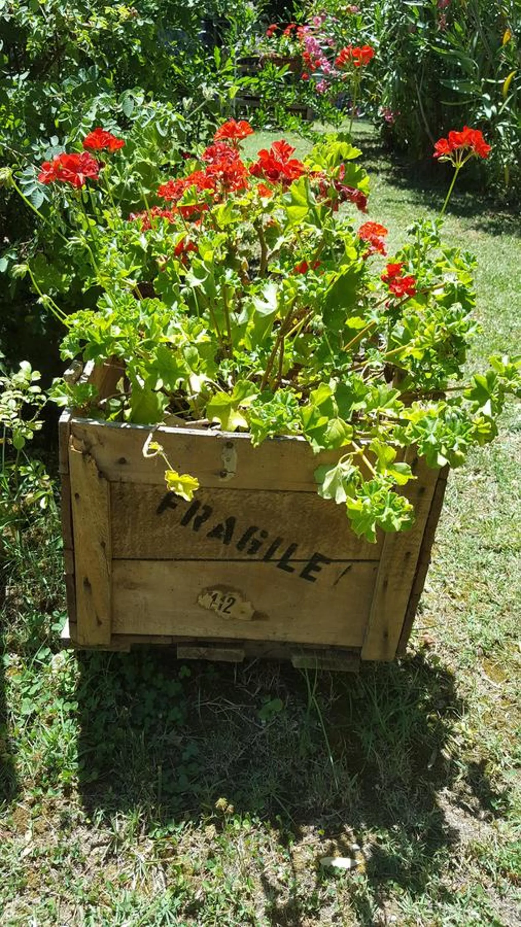 Garden in B&B La Rosa Antica