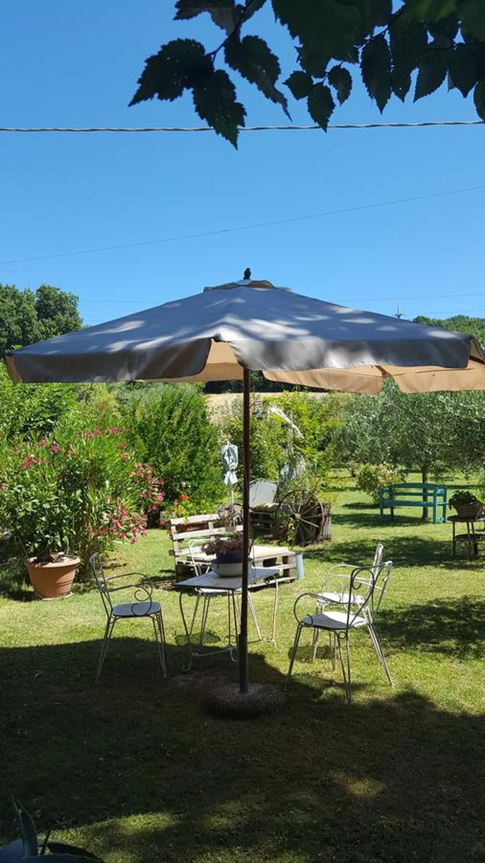 Garden in B&B La Rosa Antica