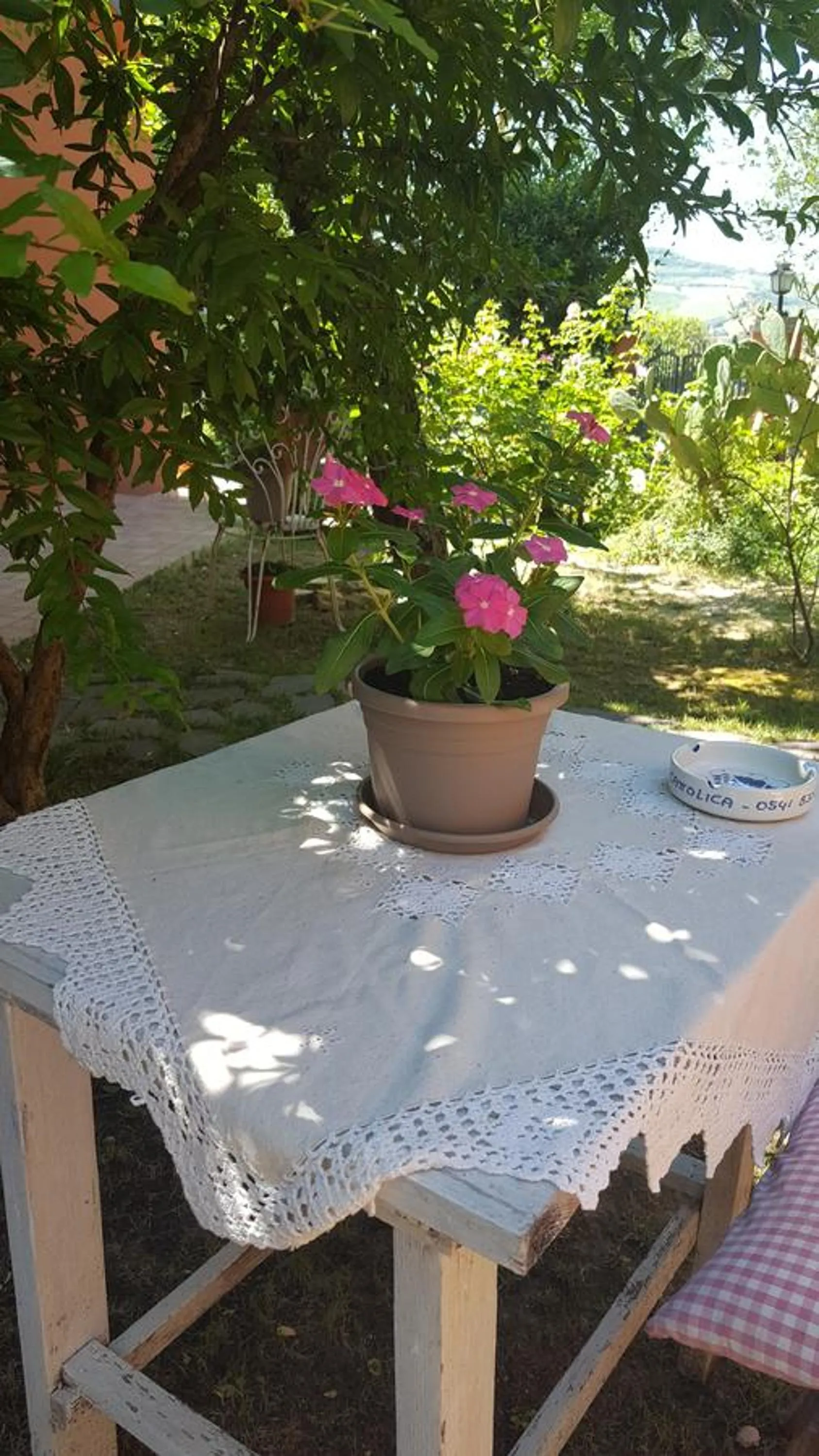 Garden in B&B La Rosa Antica