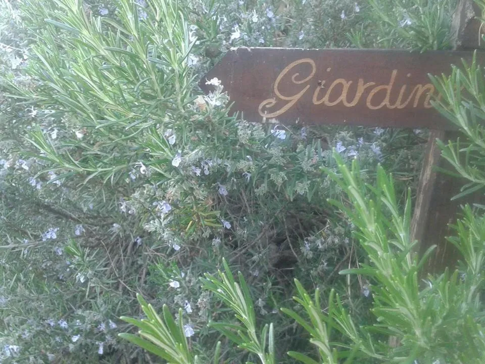 Garden in B&B La Rosa Antica