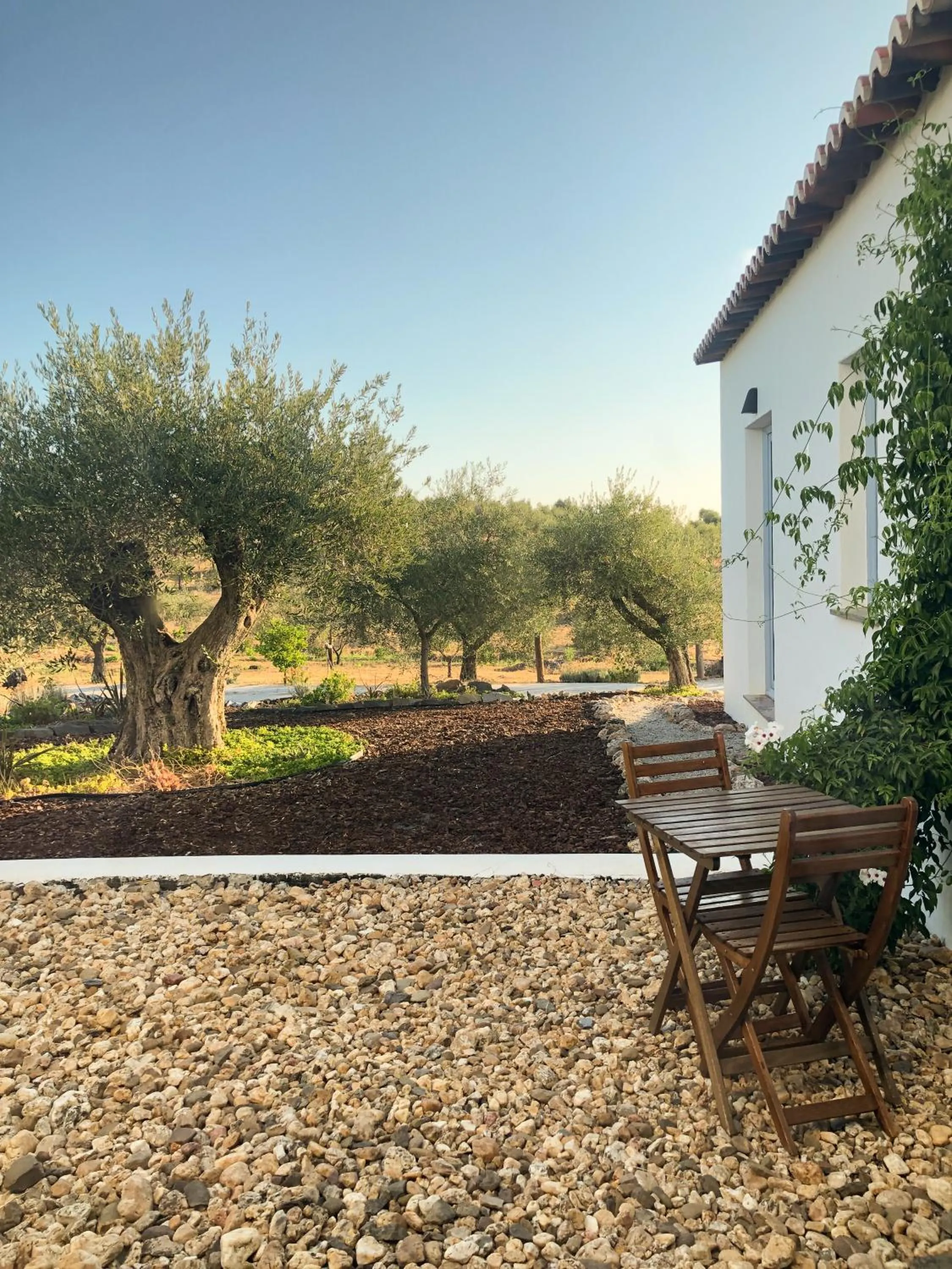 Garden in Monte da Estrela - Country House & SPA