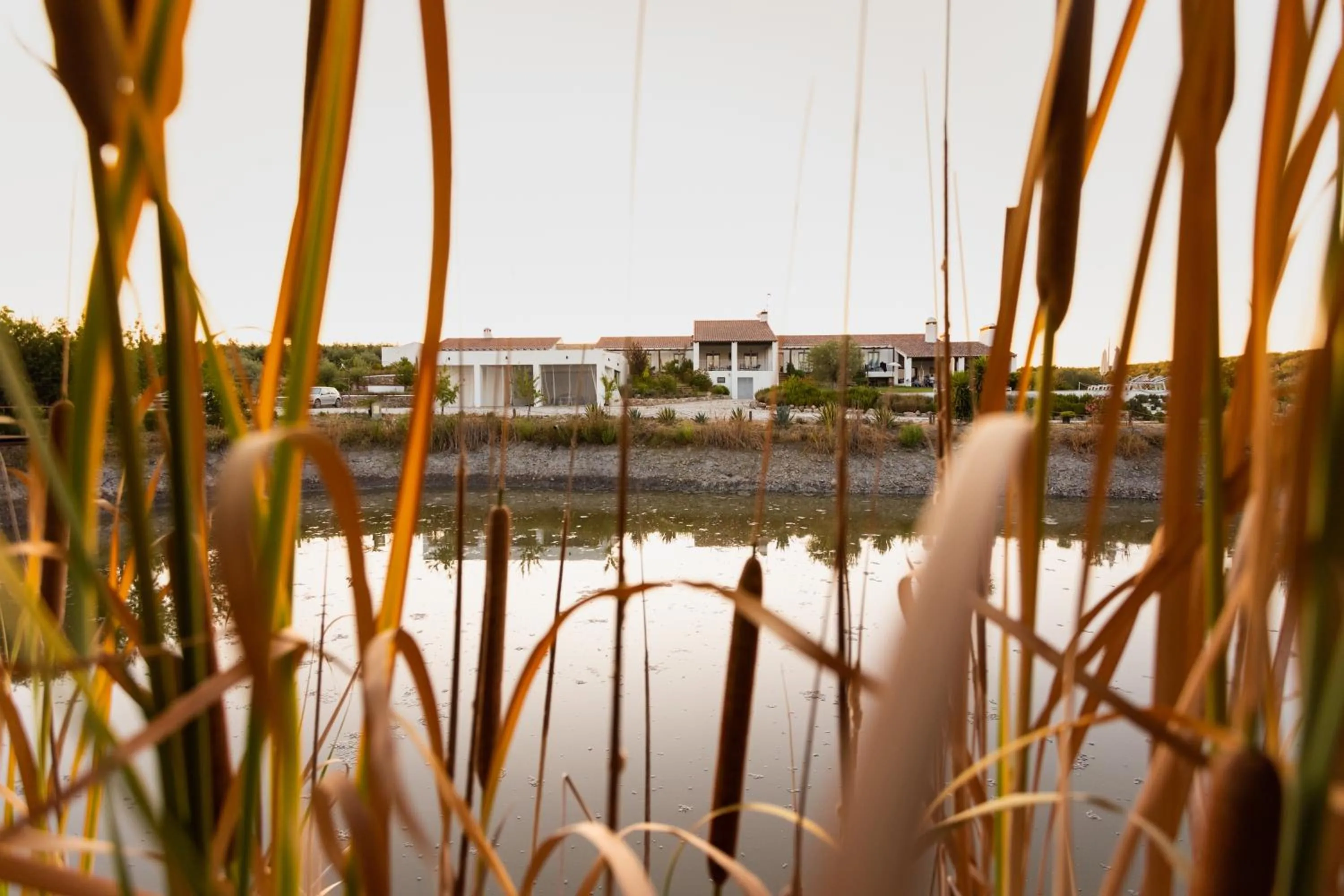 Property building in Monte da Estrela - Country House & SPA