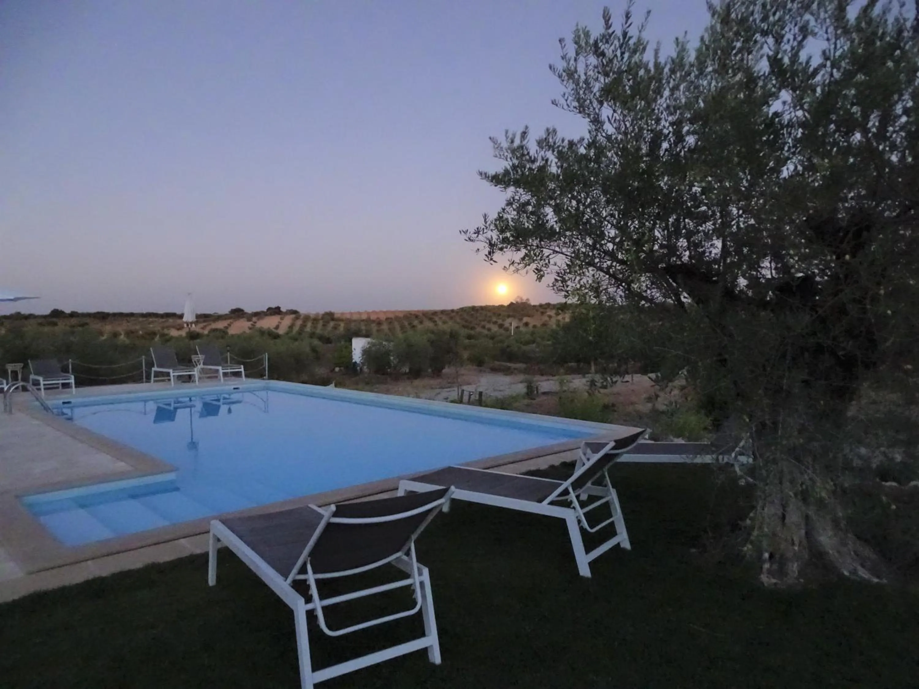 Garden in Monte da Estrela - Country House & SPA